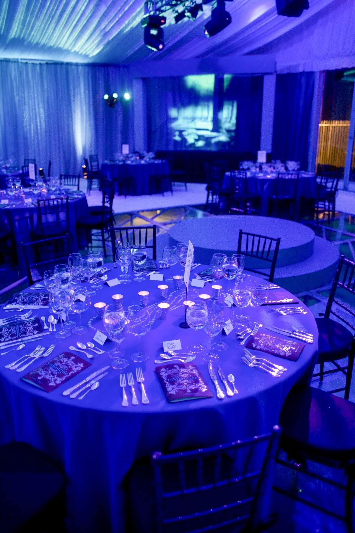 Van Cleef Palm Beach-9.jpg