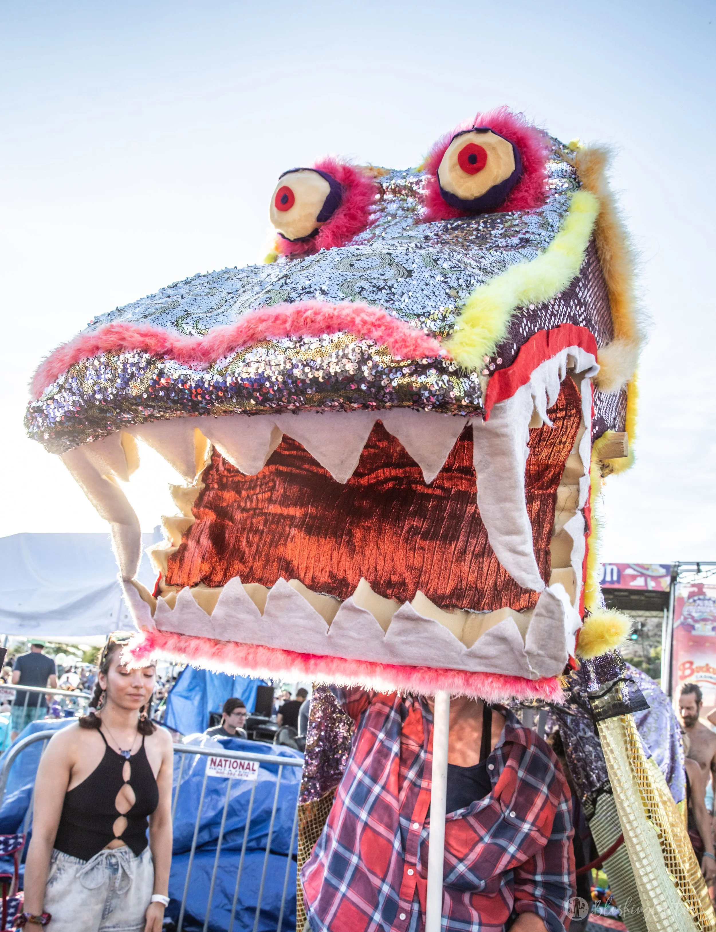 A colorful dragon puppet with a large, sequined head, big eyes, and a wide mouth with white teeth, held up by a person in a plaid shirt at an outdoor event.