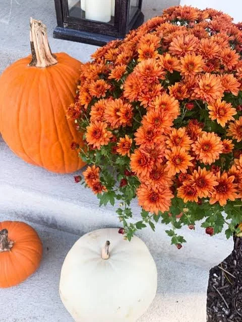 Mum Planter