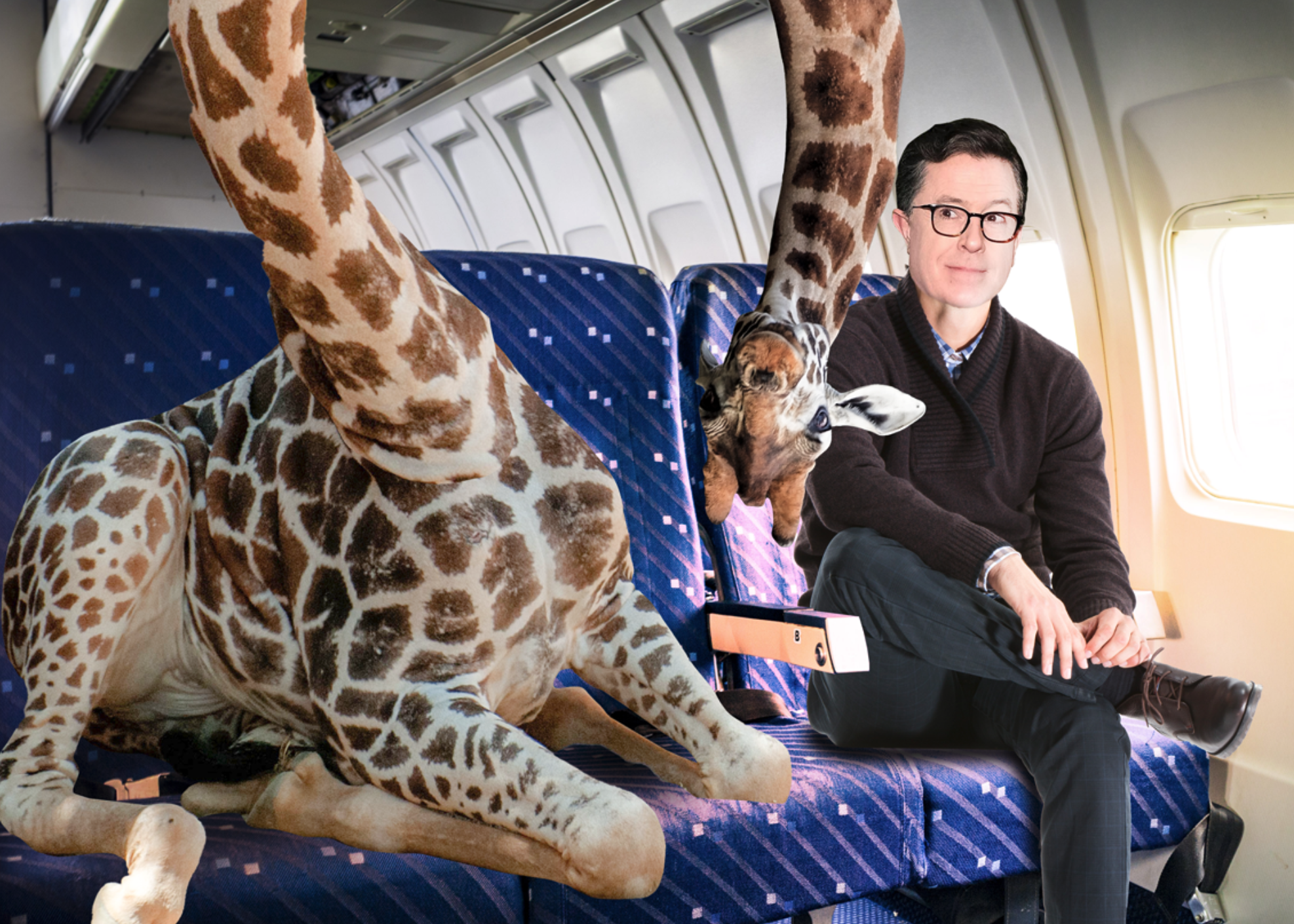 GiraffePlane.png
