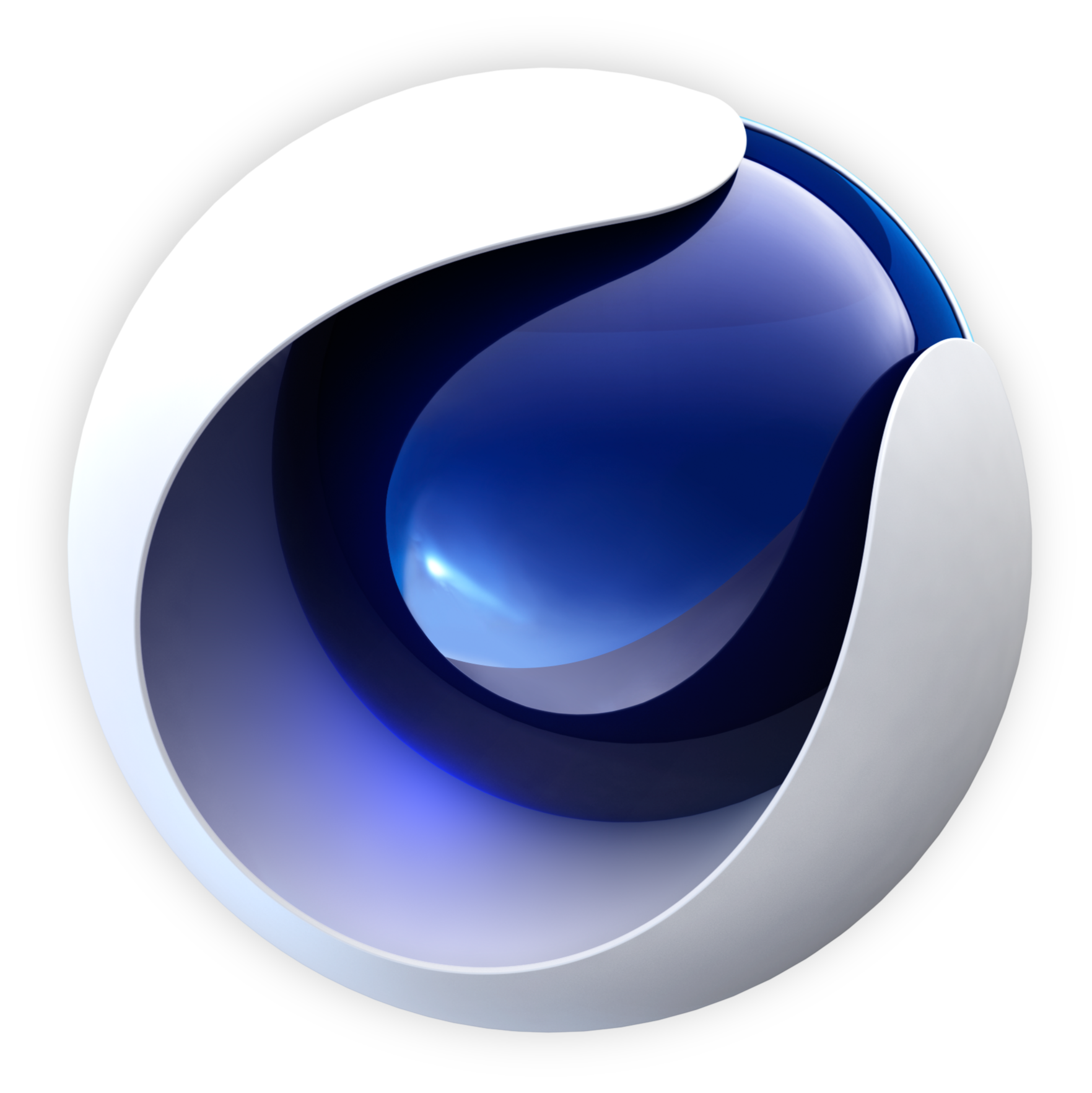 For customizing 3D titles, objects or environments C4D is the program I learned on and am most familiar with. 
