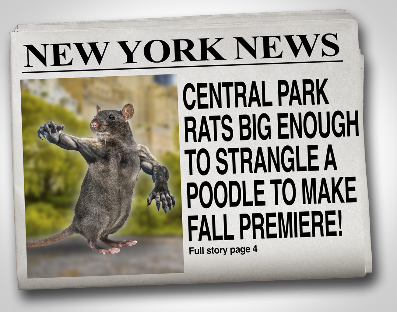 Rat Newspaper.png