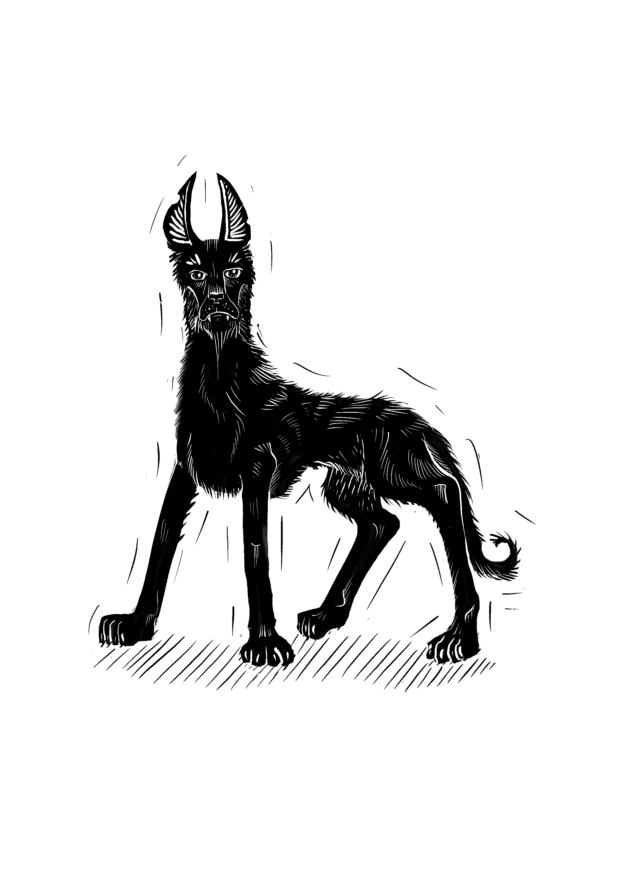 A4 Folklore Print Black Shuck