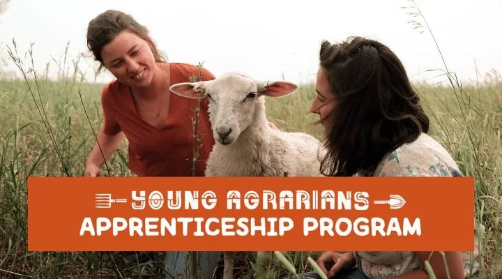 Young Agrarians Apprenticeship Program: Application Extended to Feb 16