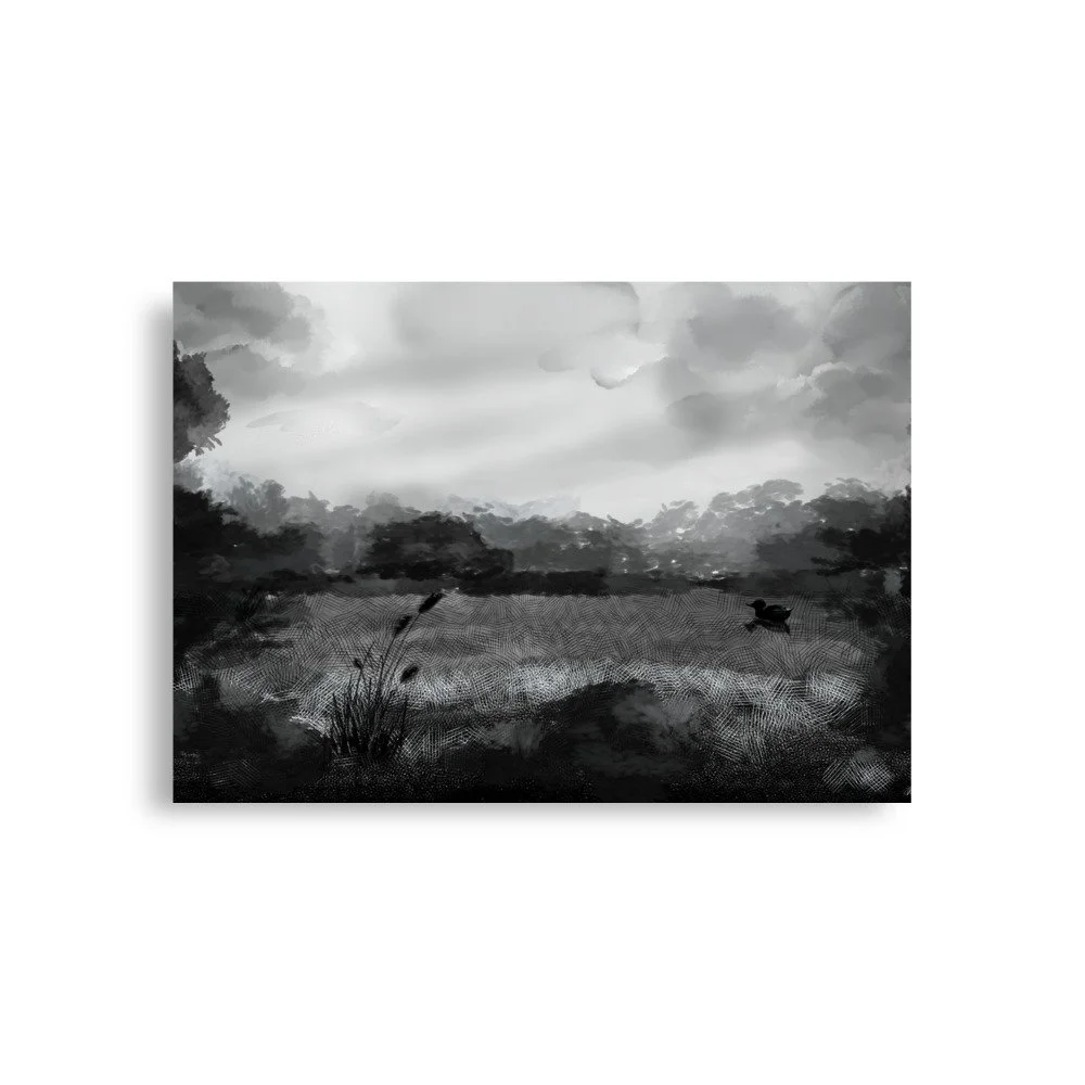 Duck Pond
