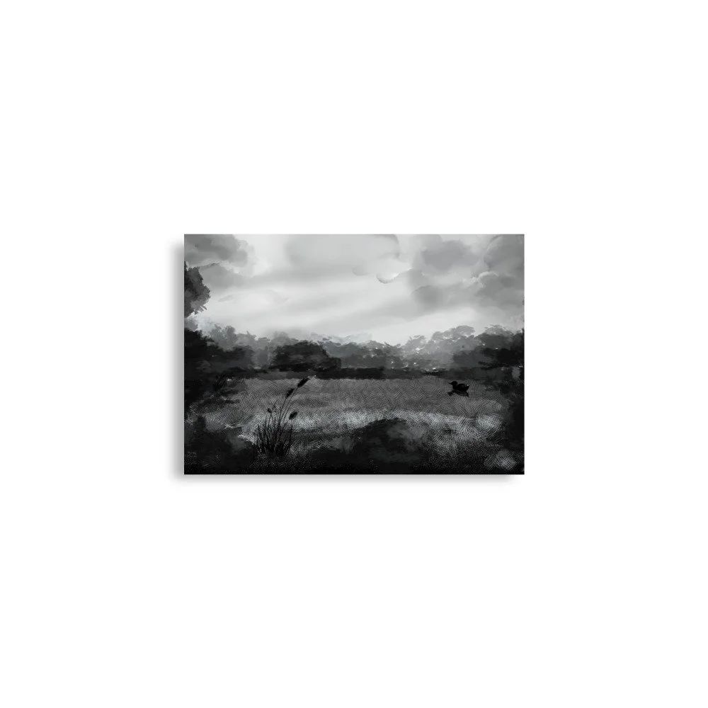 Duck Pond