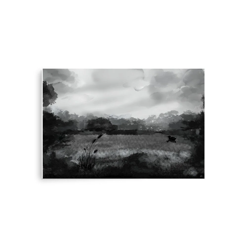 Duck Pond
