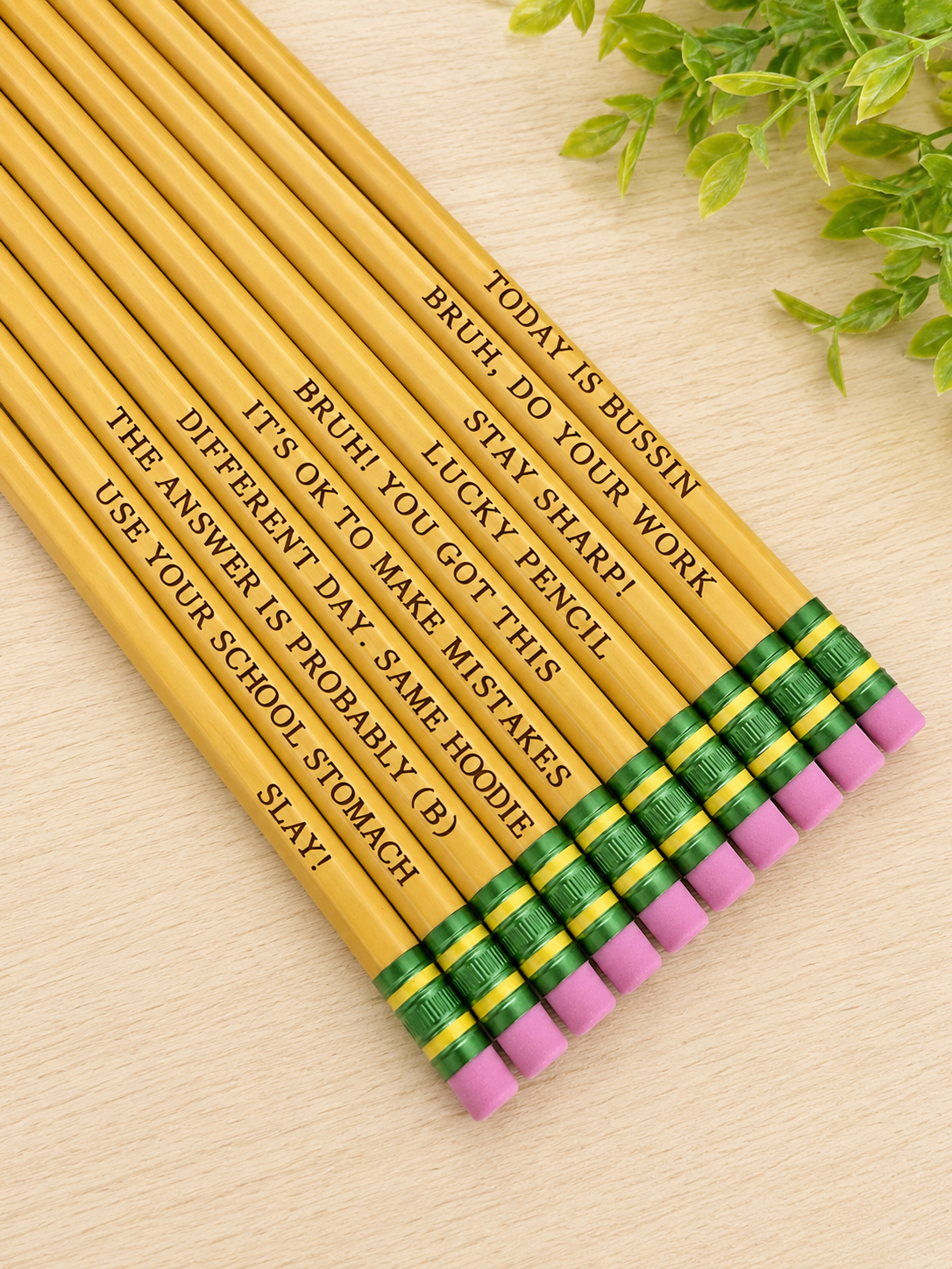 Engraved Motivational & Funny Pencils Set