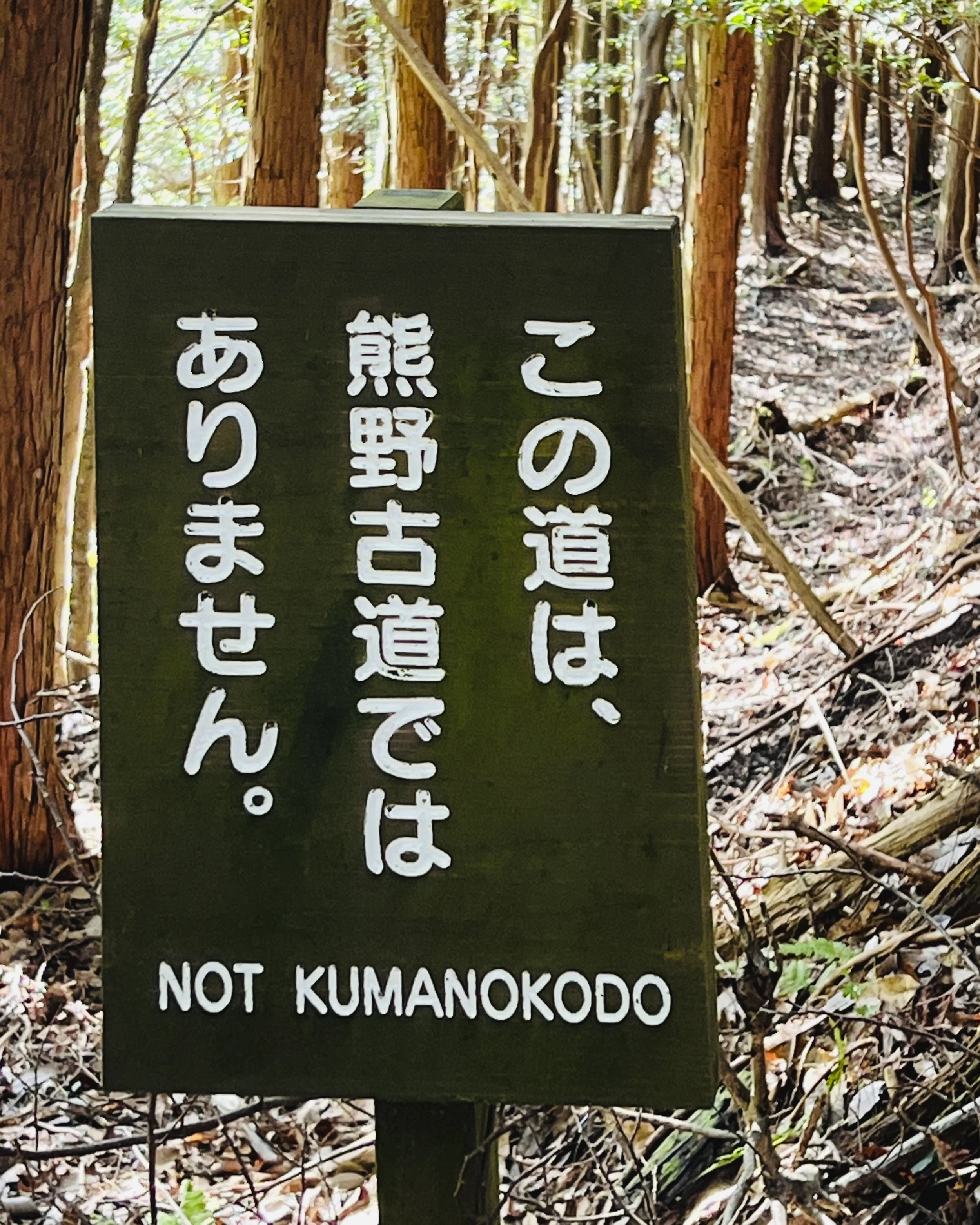 IMG_1530.jpeg