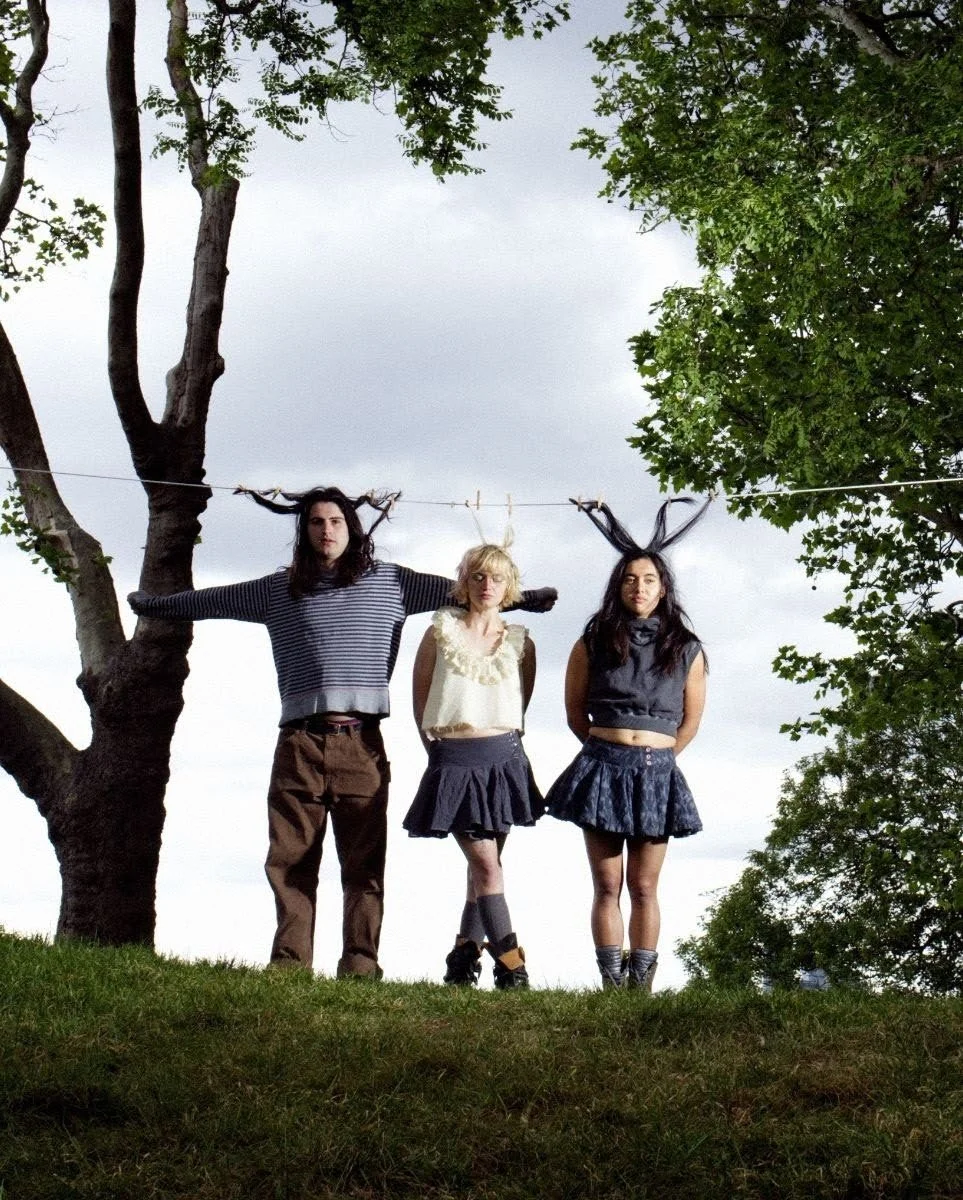 REVIEW: mary in the junkyard Carve a New Path on Debut ‘Role Model Hermit’