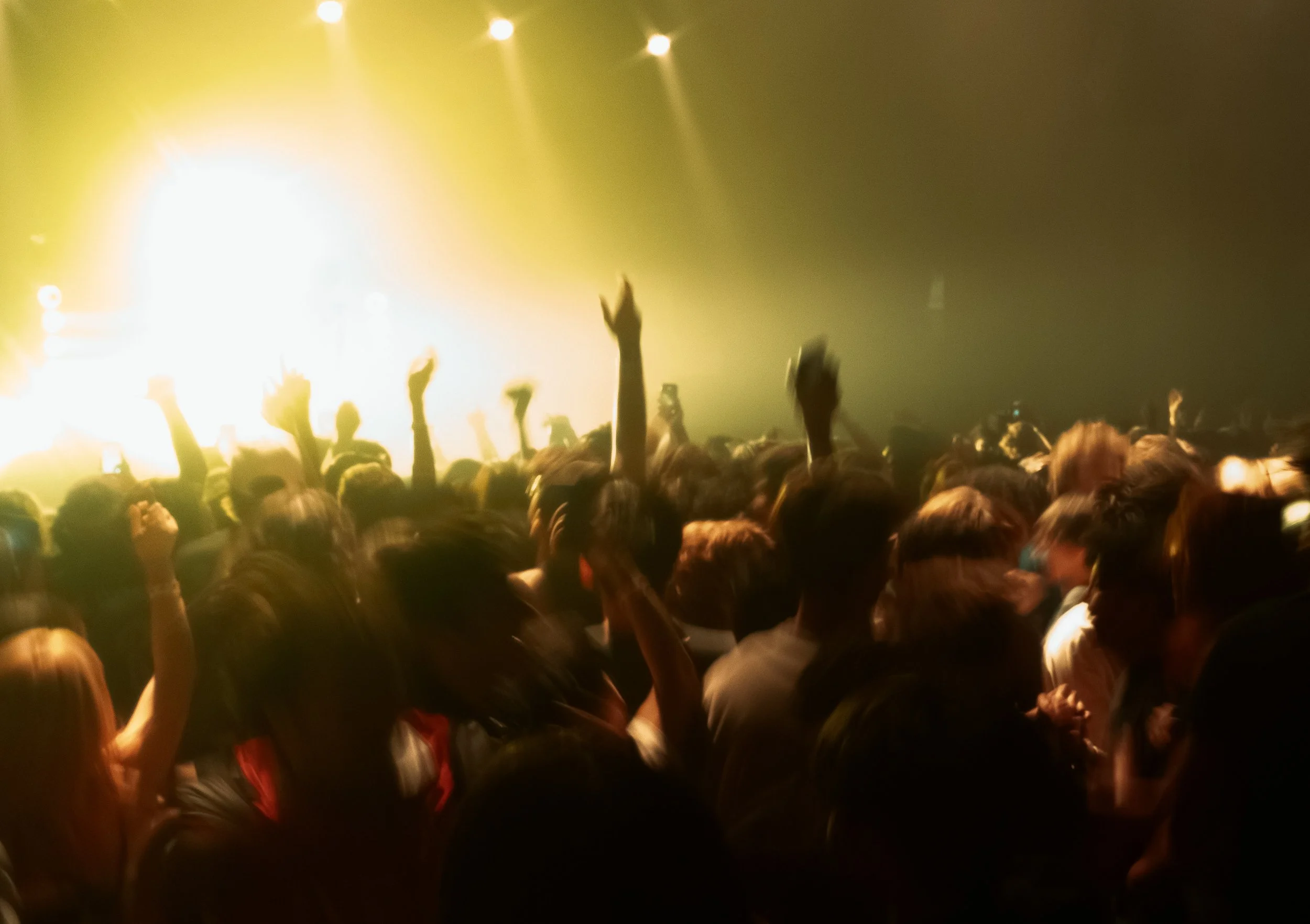 DSC03412.jpg