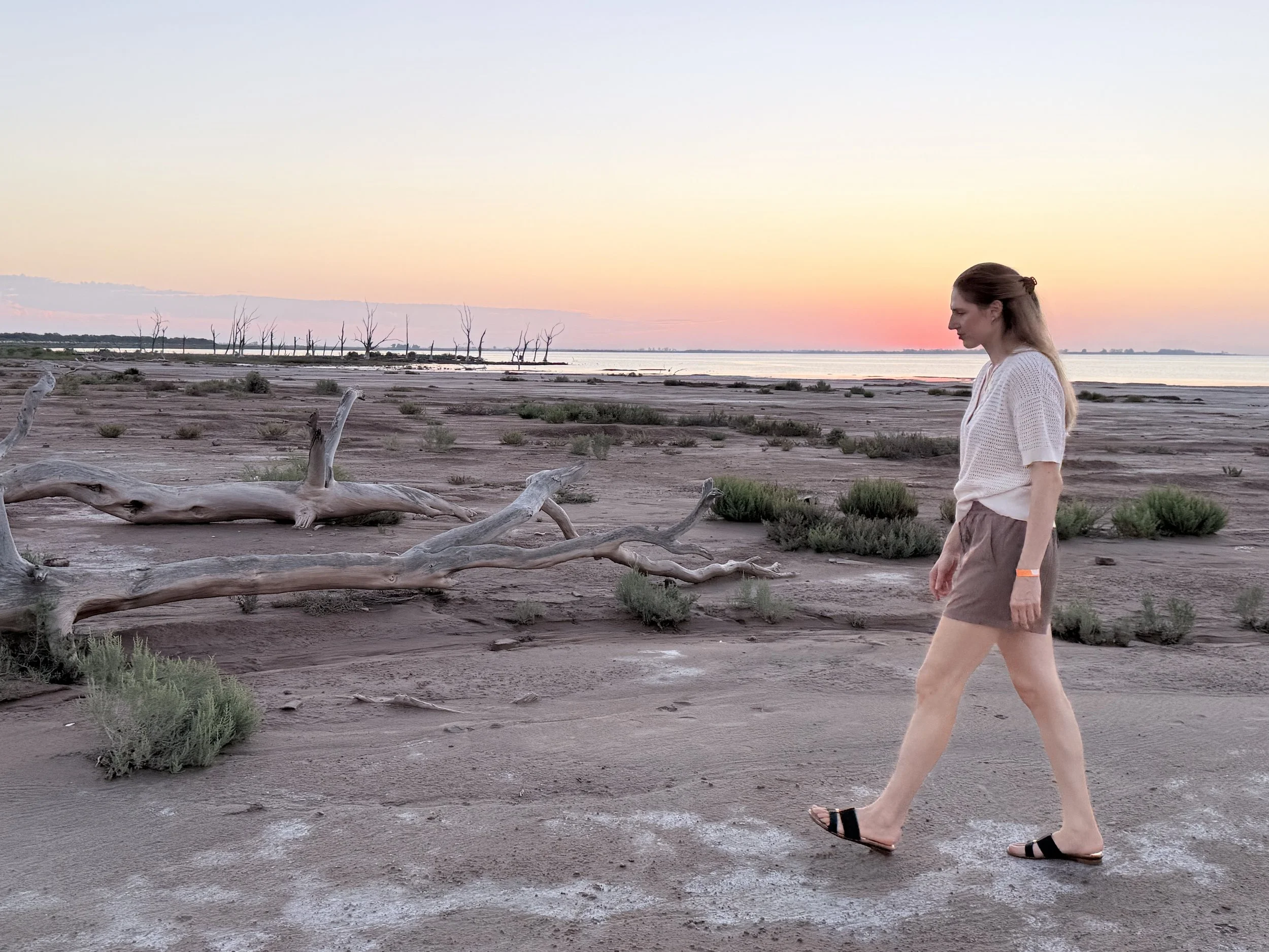 A woman walking along a dry, barren landscape at sunset, with leafless trees and a body of water in the background.