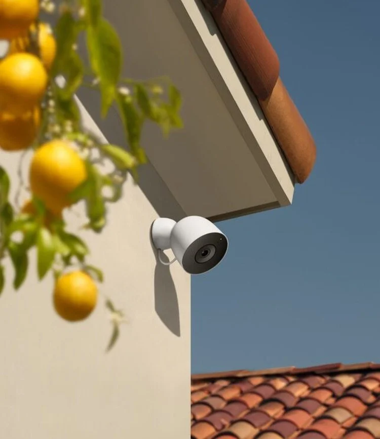 CameraOutdoor_Lemons.jpeg