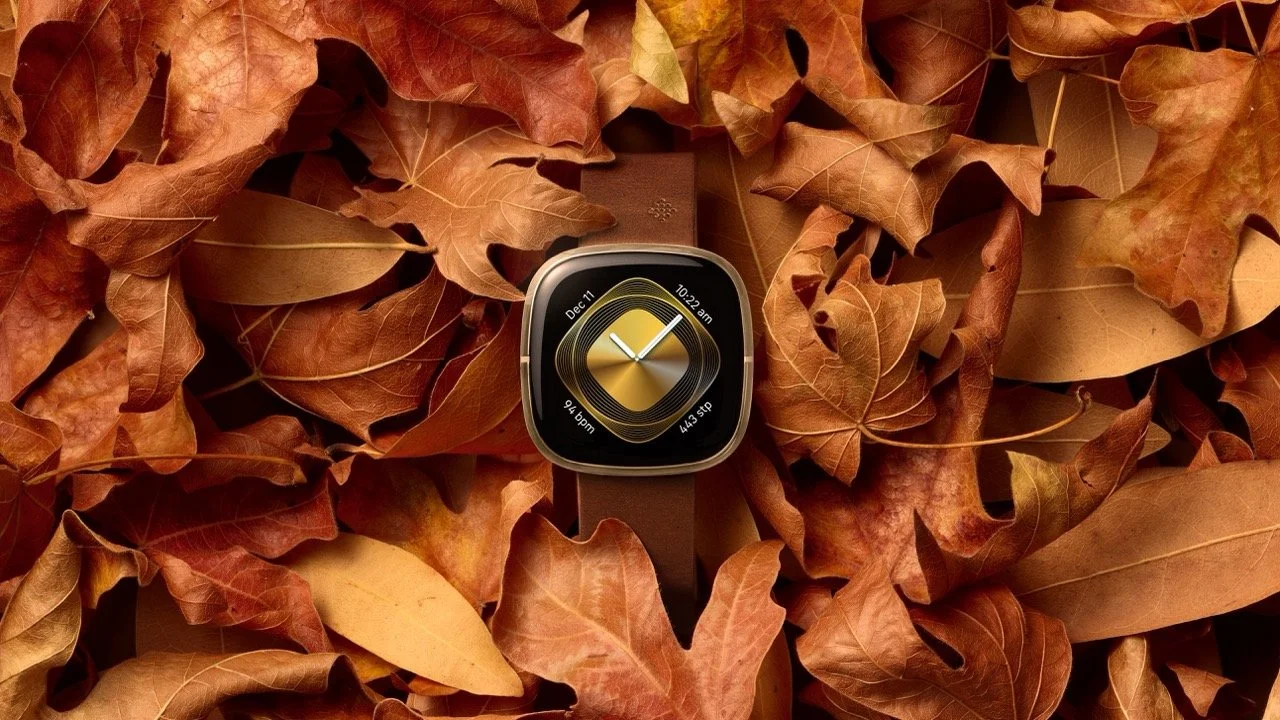 169 - leaves - P672_NA_Q4_21_Organic_Social_Still_Life_Fall_0022_2_RGB_FNL Large.jpeg