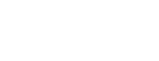 Bionic Partners