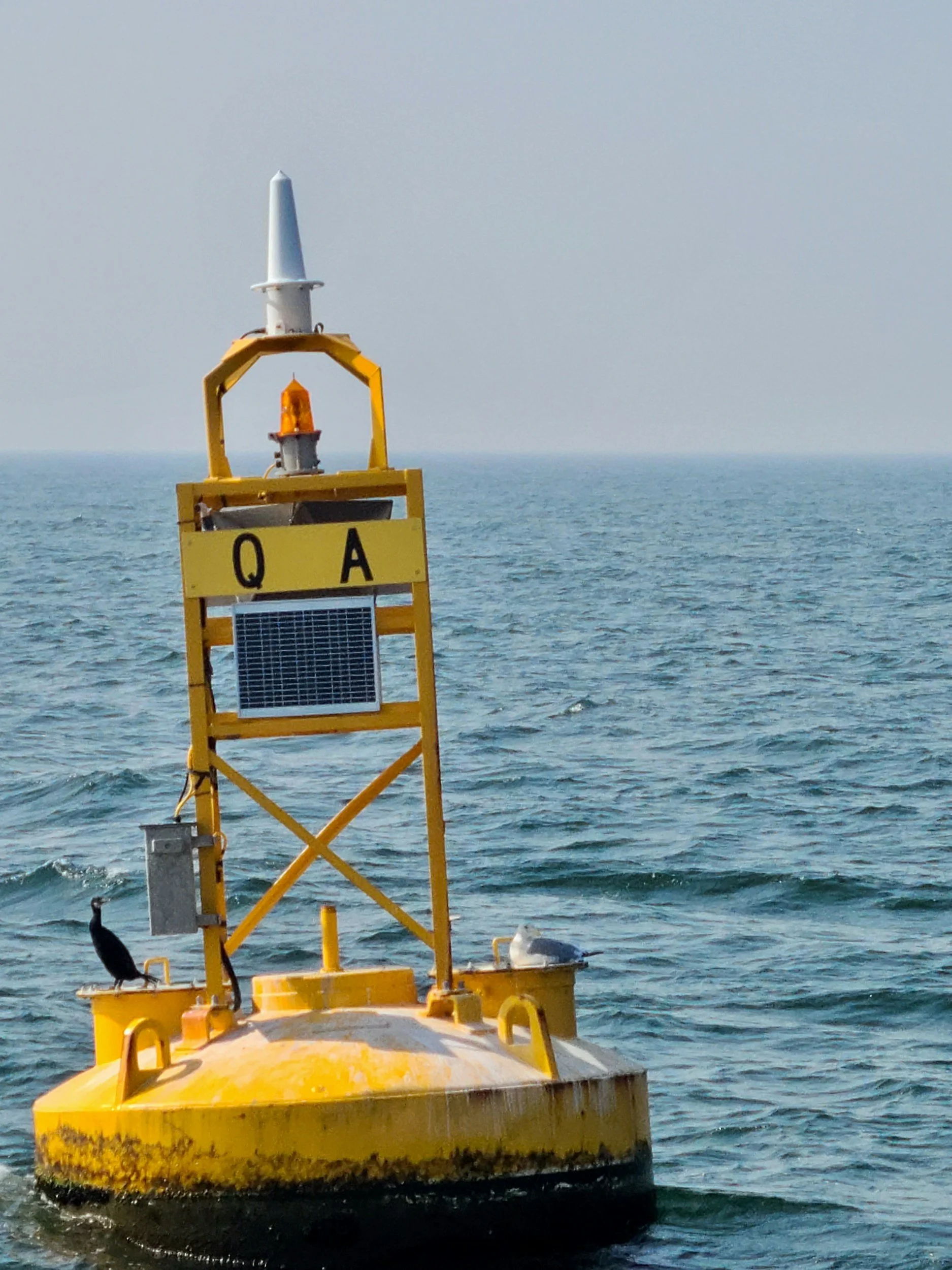 Yellow buoy with antenna, radar, and a bird perched on the edge, floating on the ocean.
