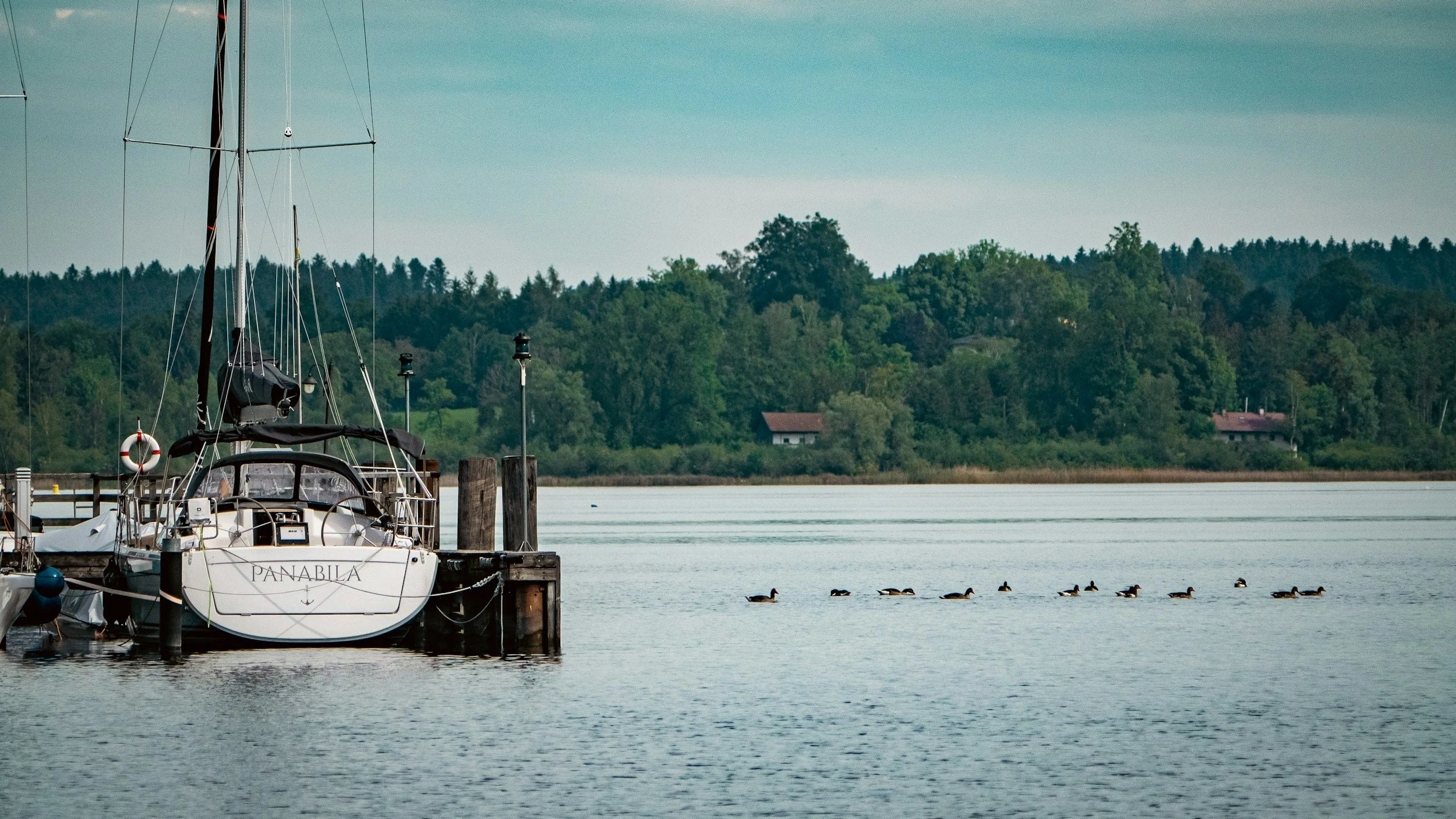 A sailboat named Panabula docked at a pier on a calm lake with a flock of ducks swimming nearby and lush green trees in the background.