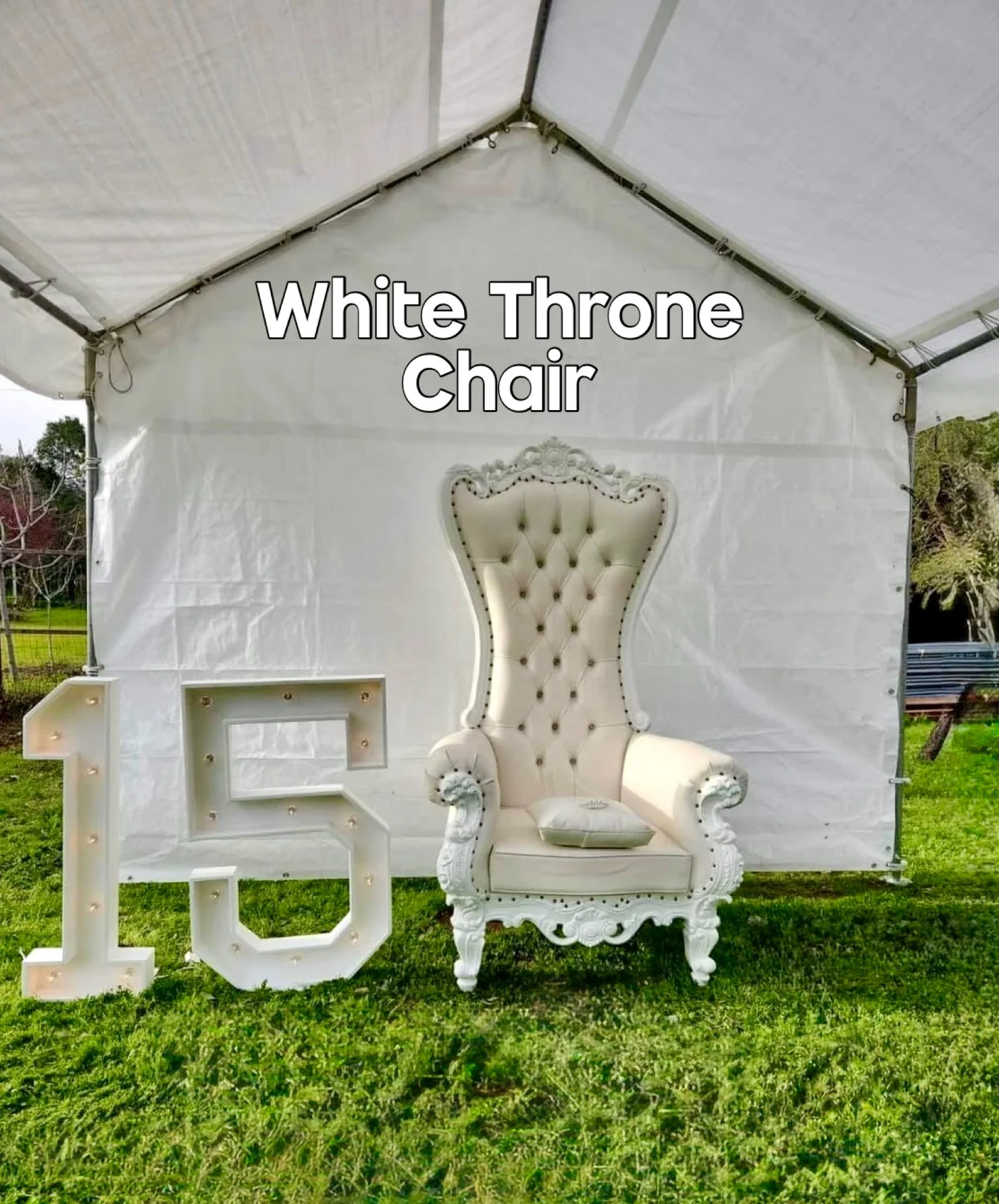 White Throne Chair