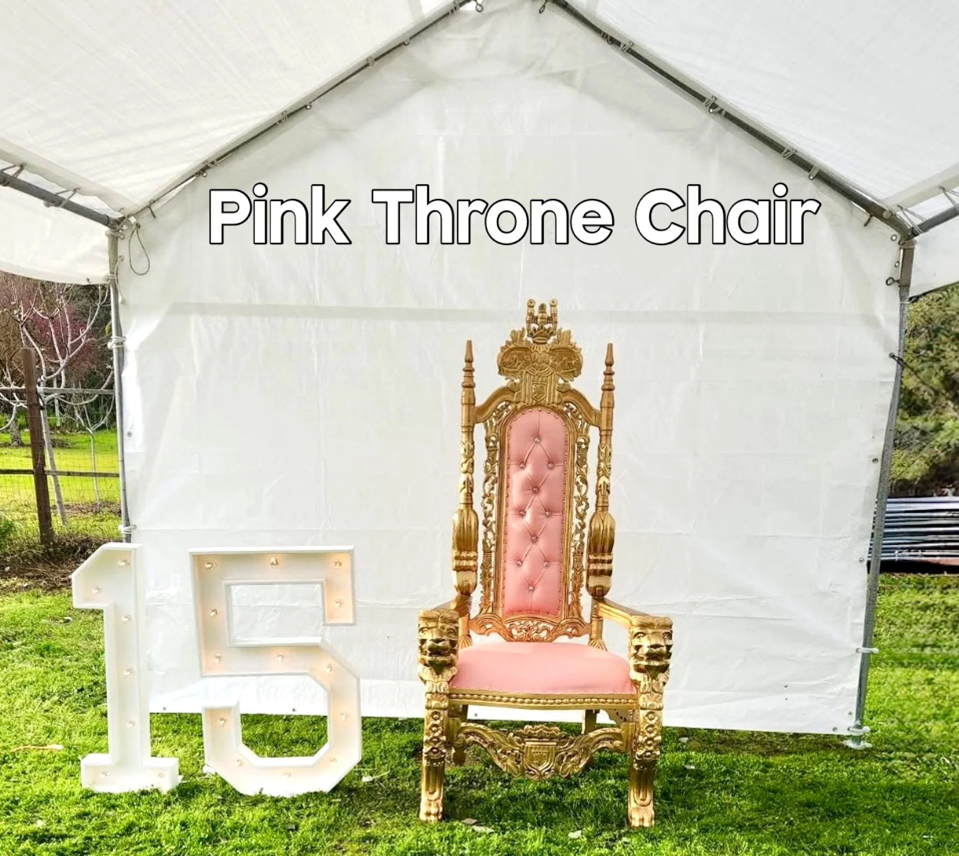 Pink Throne Chair