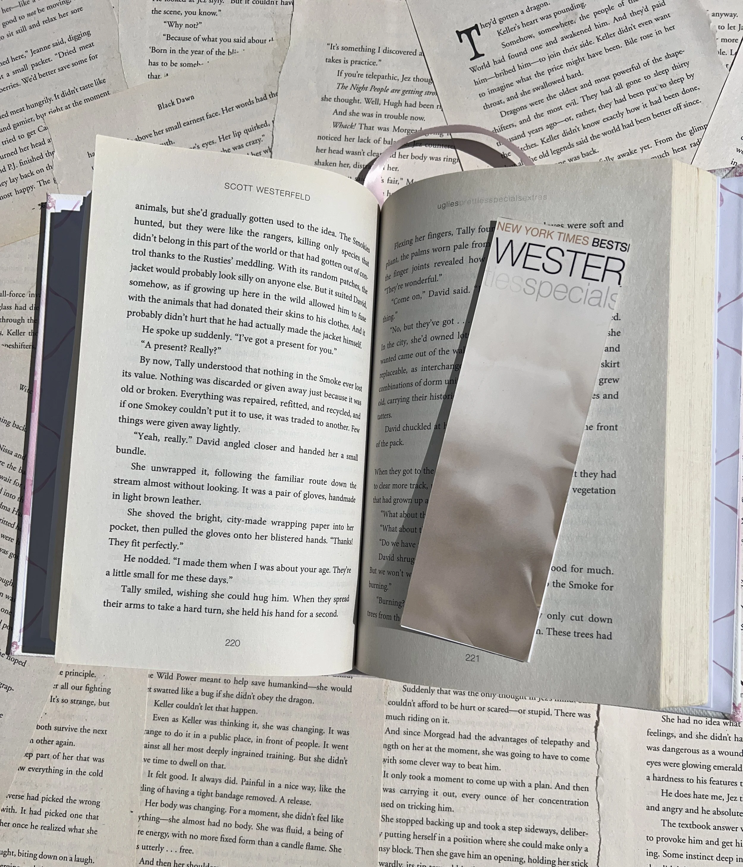 IMG_7999.JPG (Copy) (Copy) (Copy)