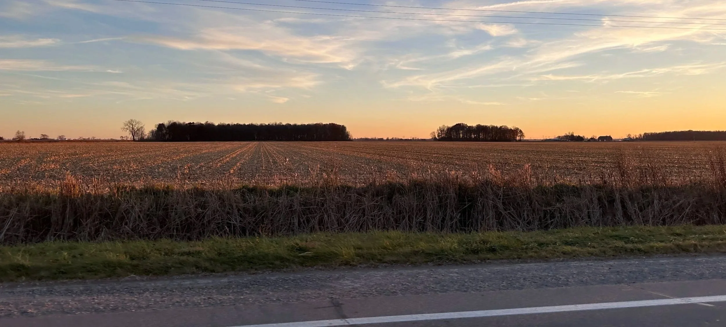 An expansive farmland landscape at sunset with dry crop fields, a horizon line with a cluster of trees, and a road in the foreground.