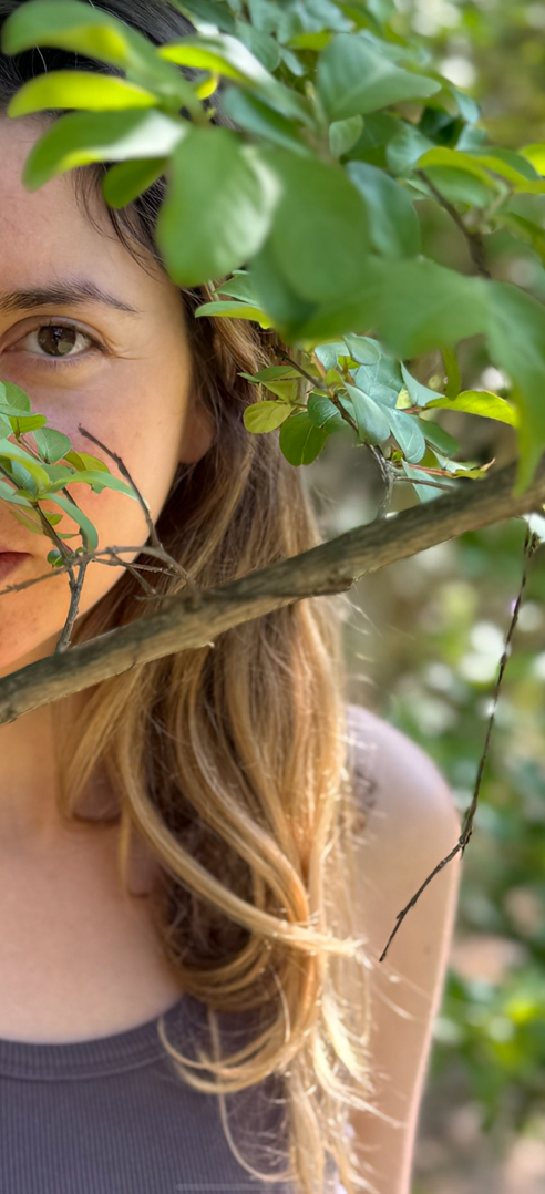 Violette Phoenix intuition and interiors online interior design courses