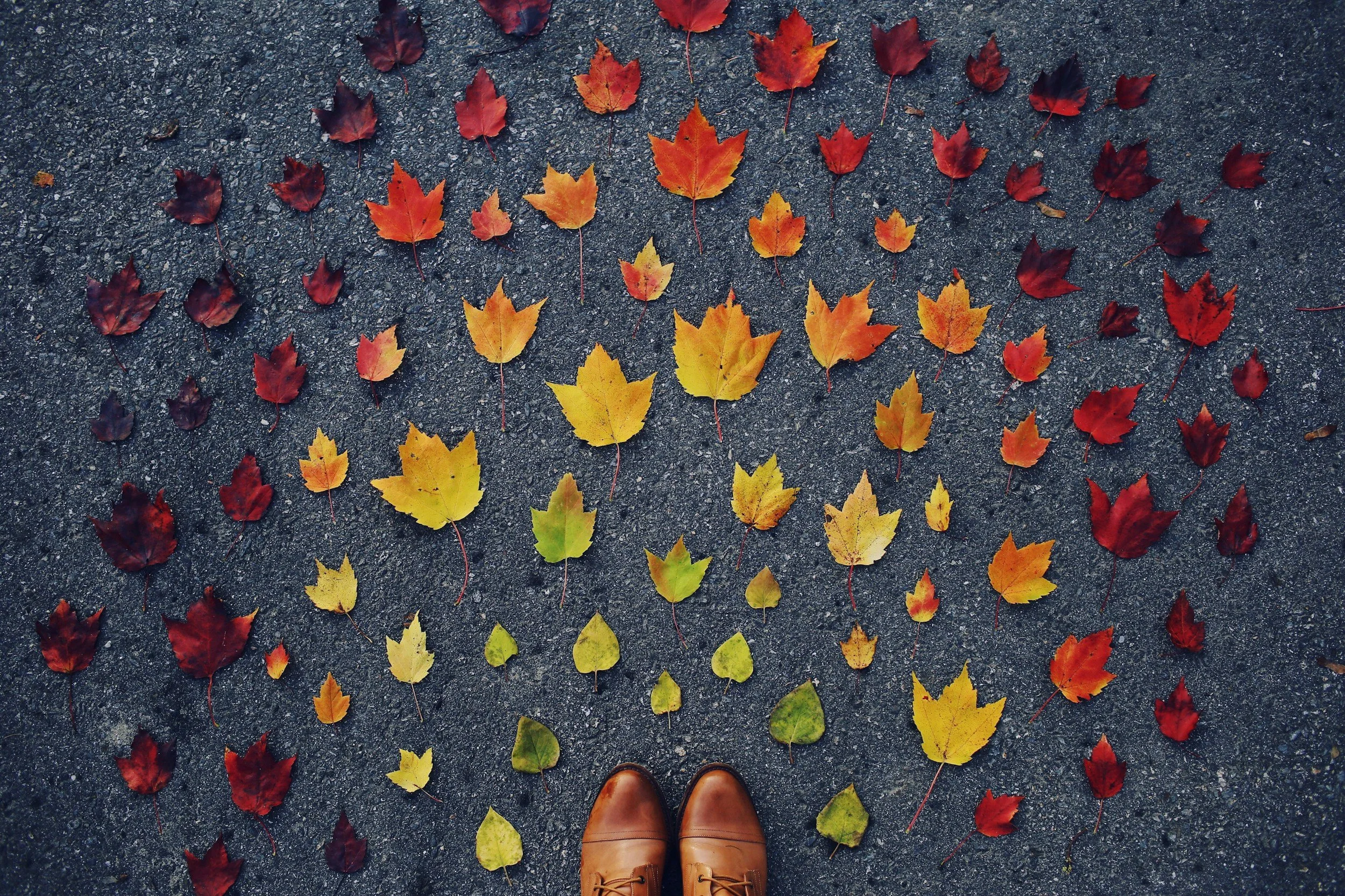 Seasonal changes symbolizing major life transitions and adapting to a new chapter in life