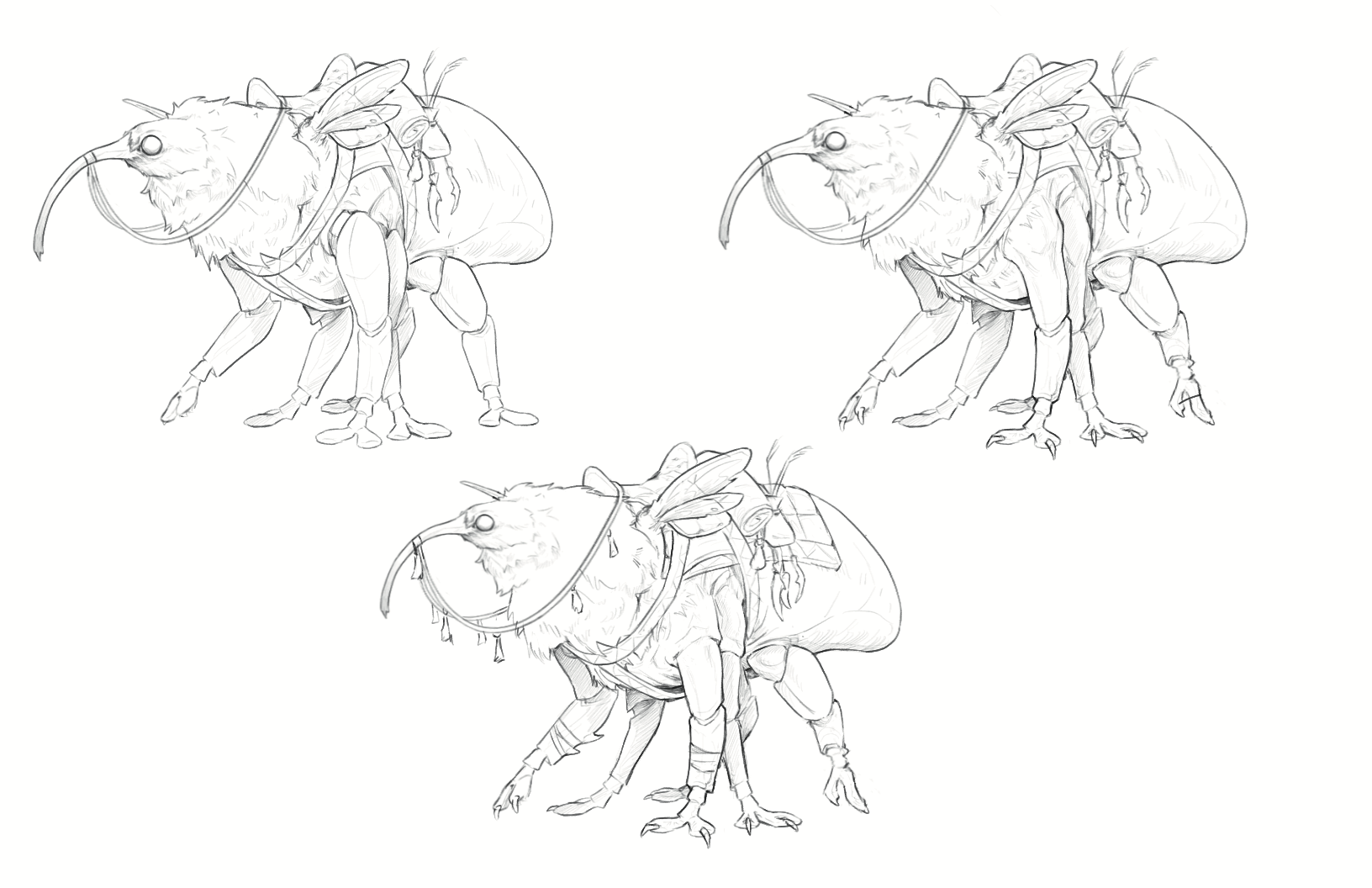 Wevox - Detail Passes