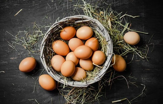 Chicken eggs by the Dozen