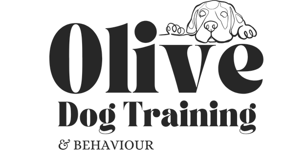 Olive Dog Training and Behaviour