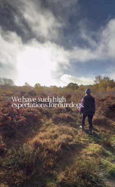 A person walking on a trail in a natural landscape with bushes and trees, under a partly cloudy sky. The image has a quote that reads, "We have such high expectations for our dogs."