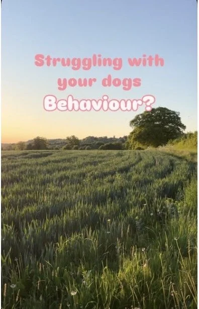 Text overlay on a field of green grass and trees in the background, reading 'Struggling with your dogs Behaviour?'
