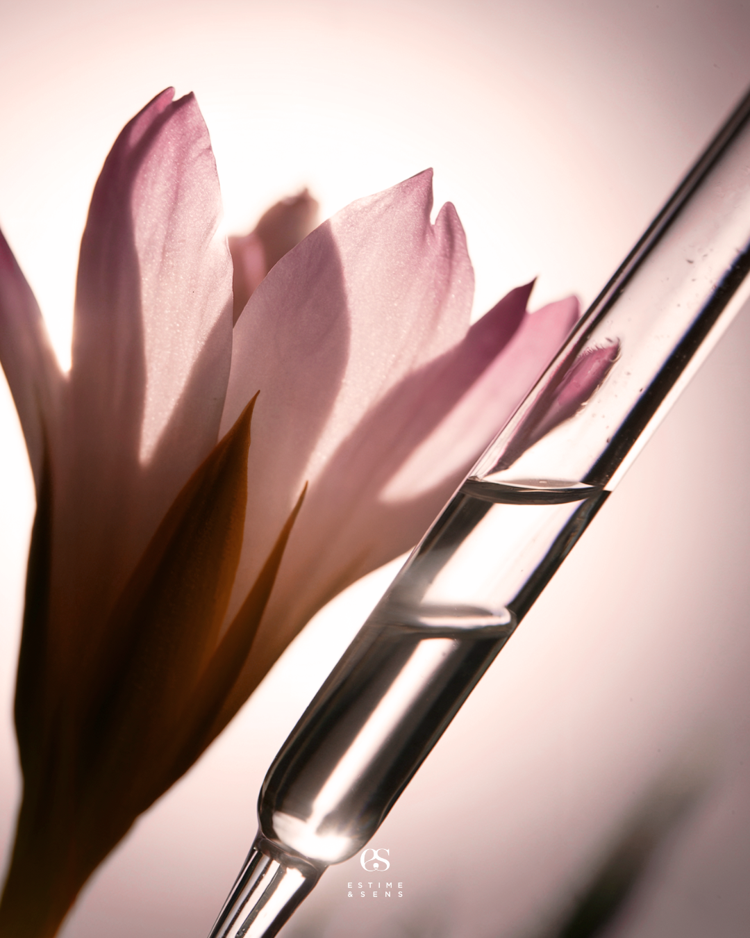 Une cooper recycleur en verre contenant de l'eau, à côté d'une fleur rose floue en arrière-plan.