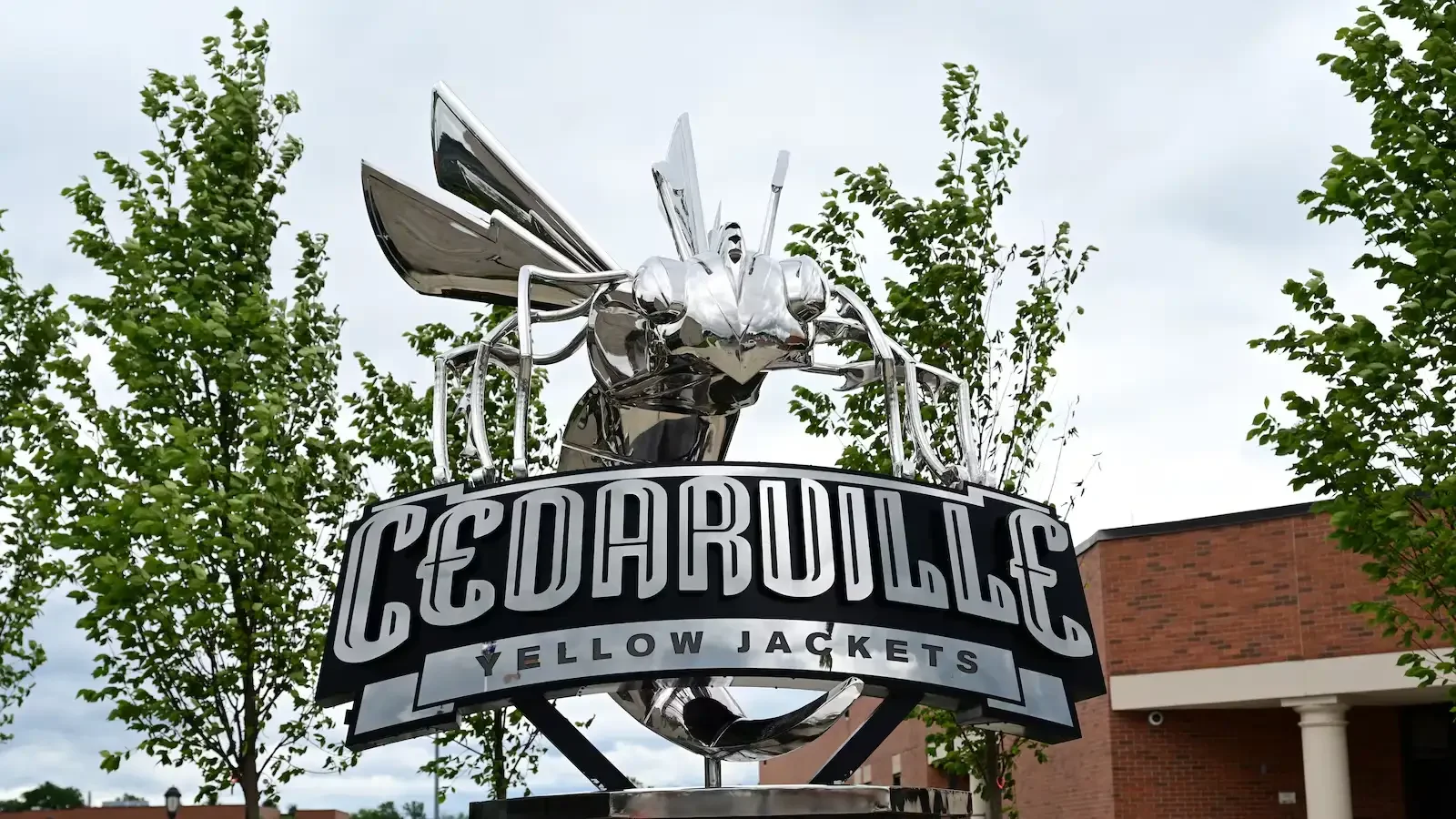 Cedarville University Yellowjackets