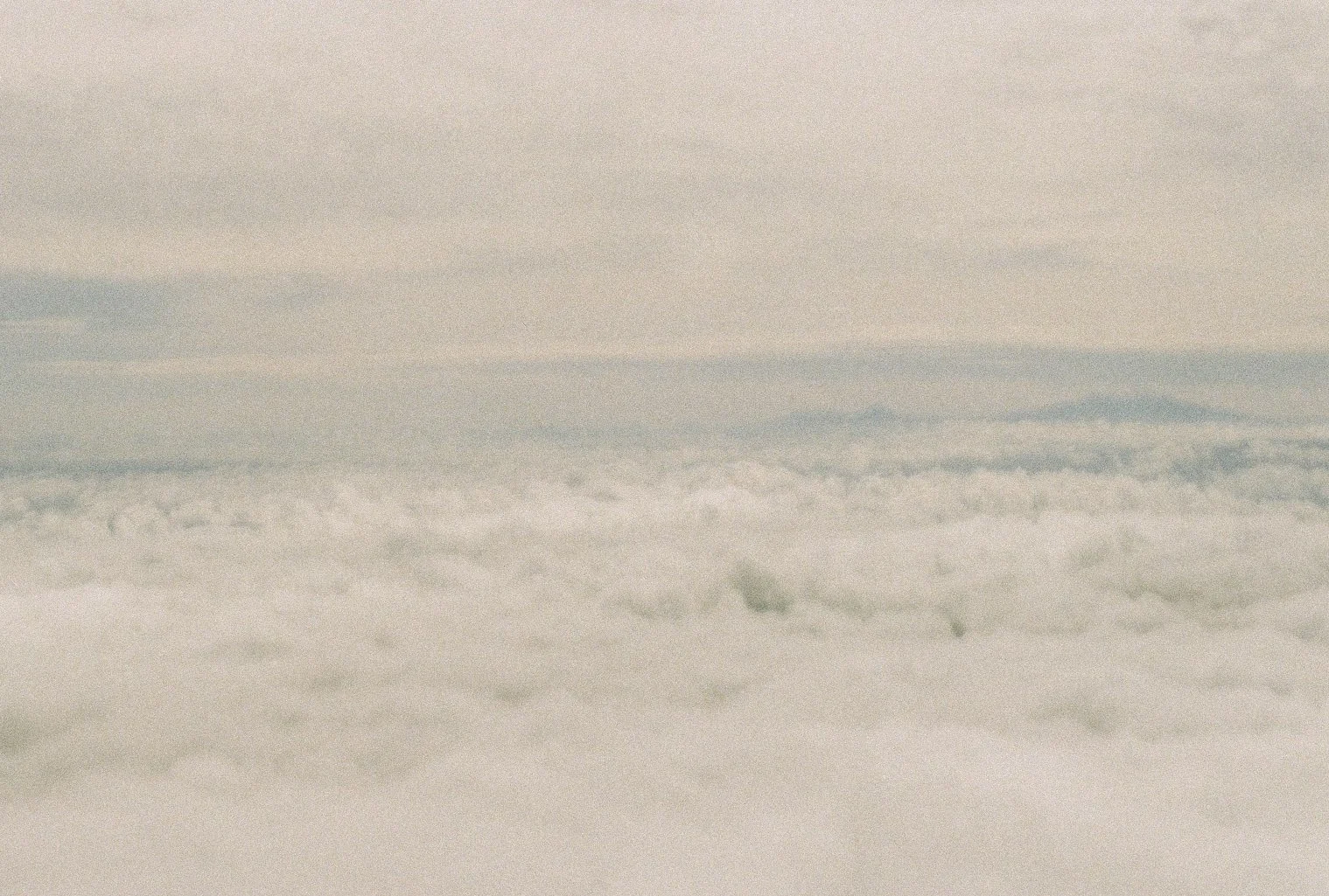 Film2021_25 ed.jpg