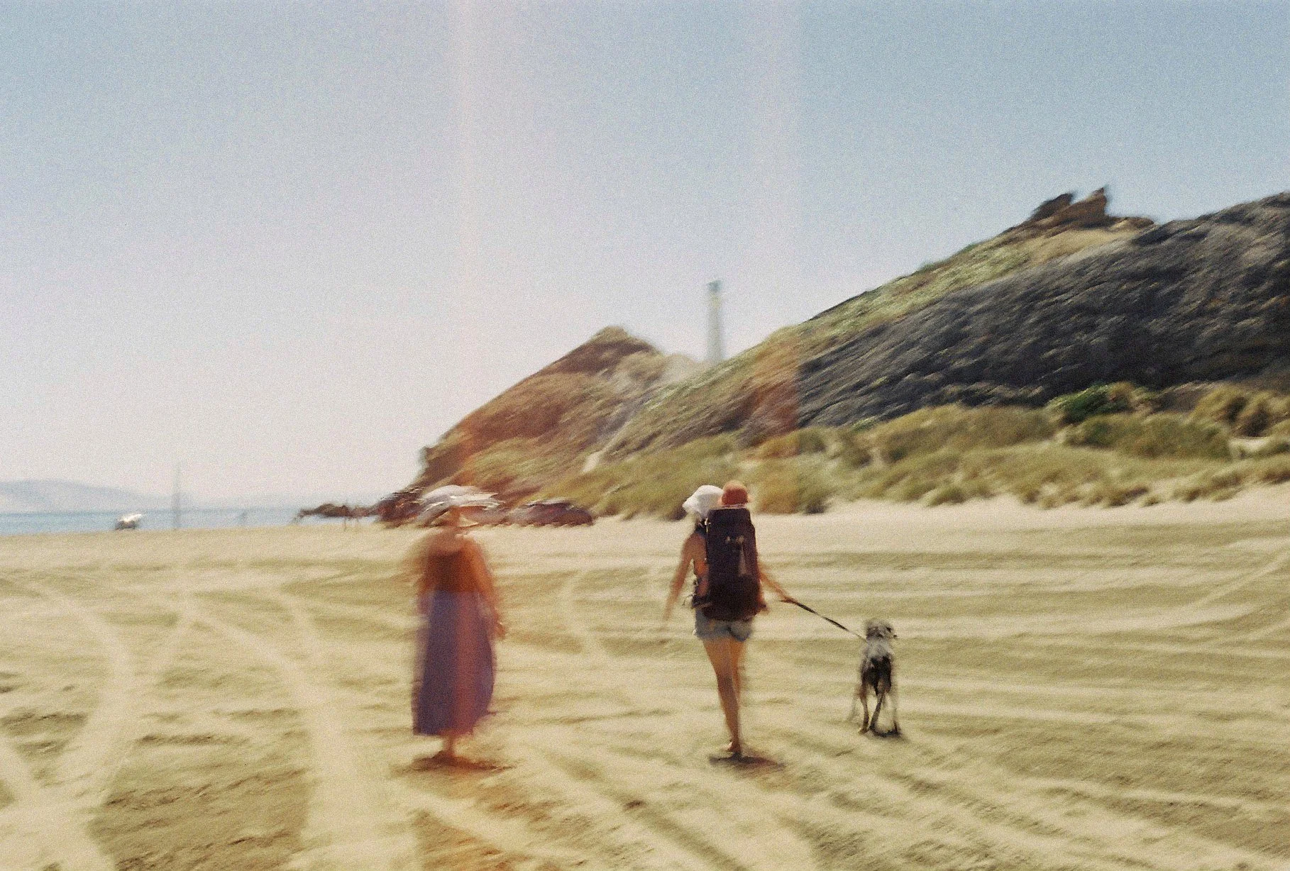 Film2021_40 ed.jpg
