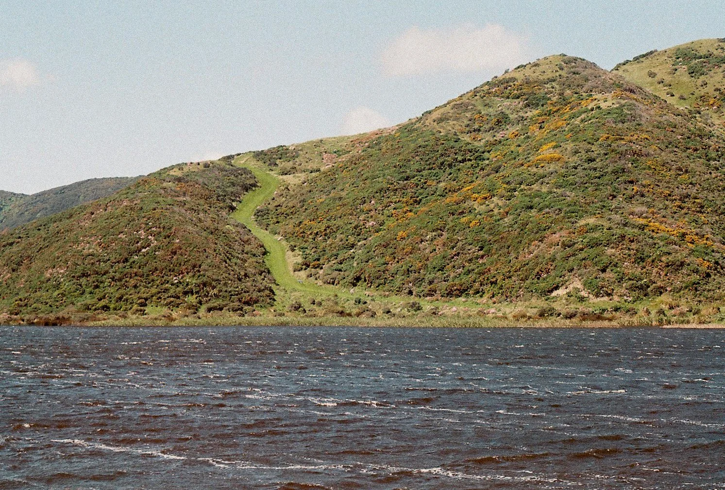 Film2020_72 ed.jpg
