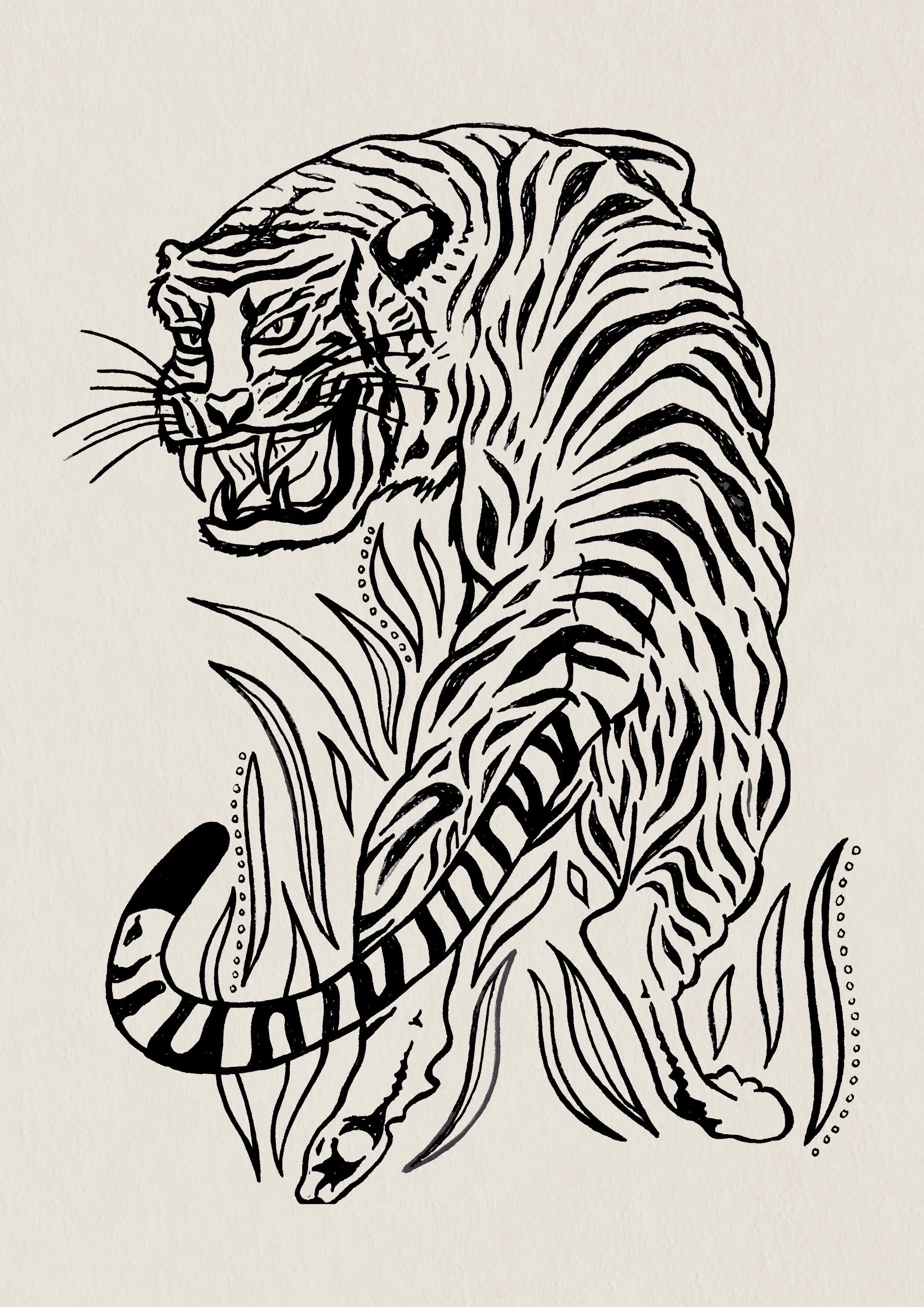 Tigress.jpg