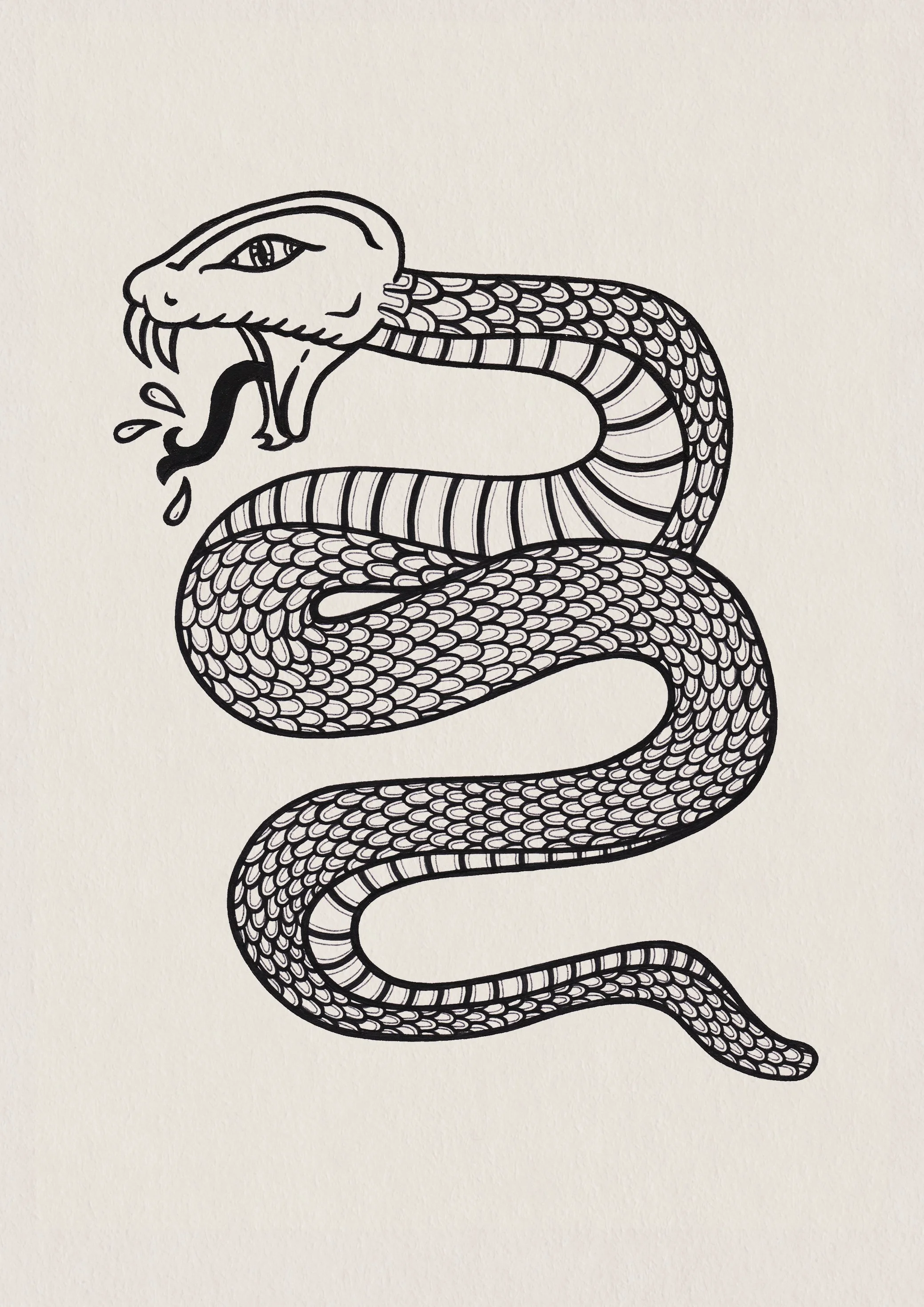 Snake Bite.jpg