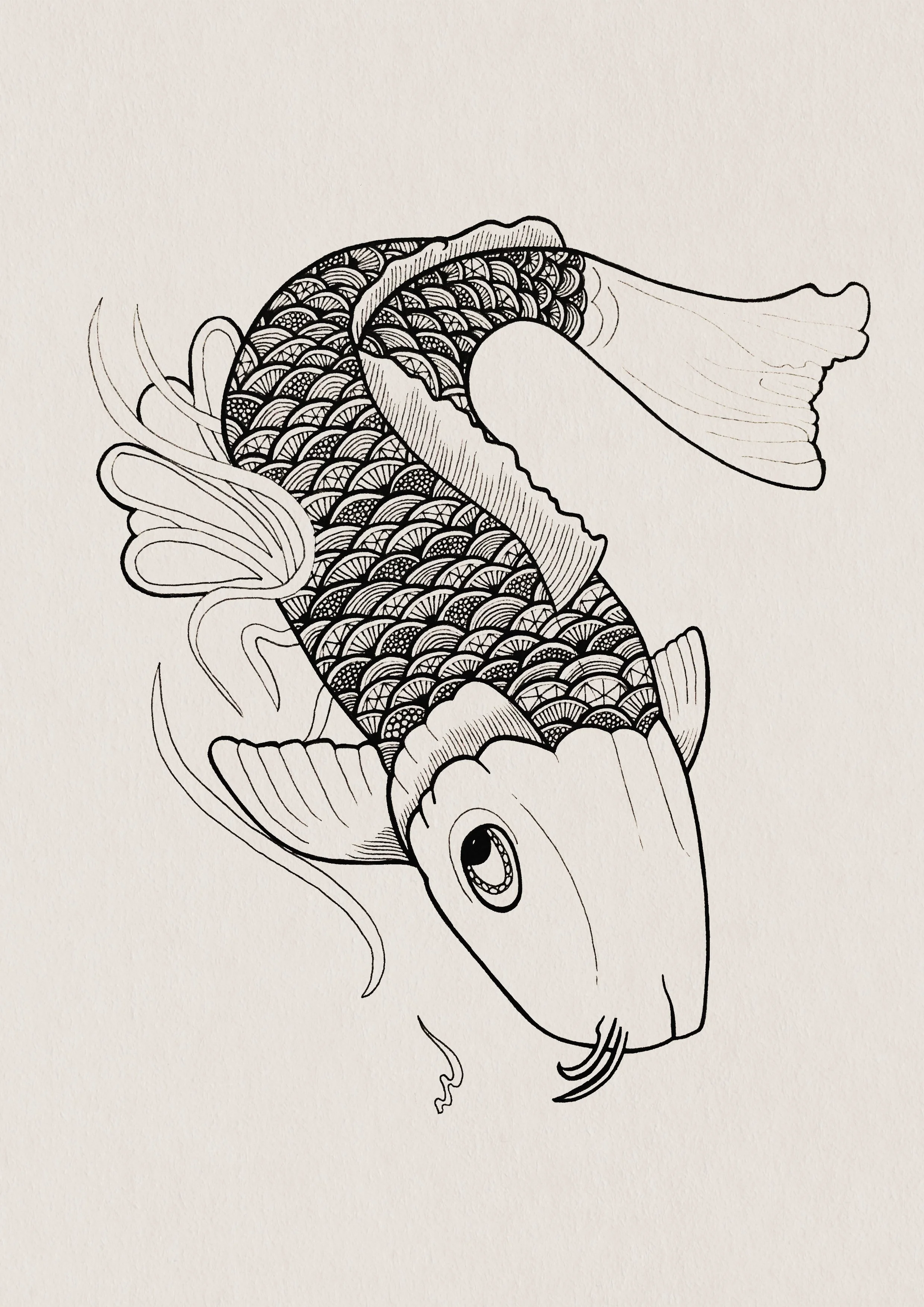 Koi Pond.jpg