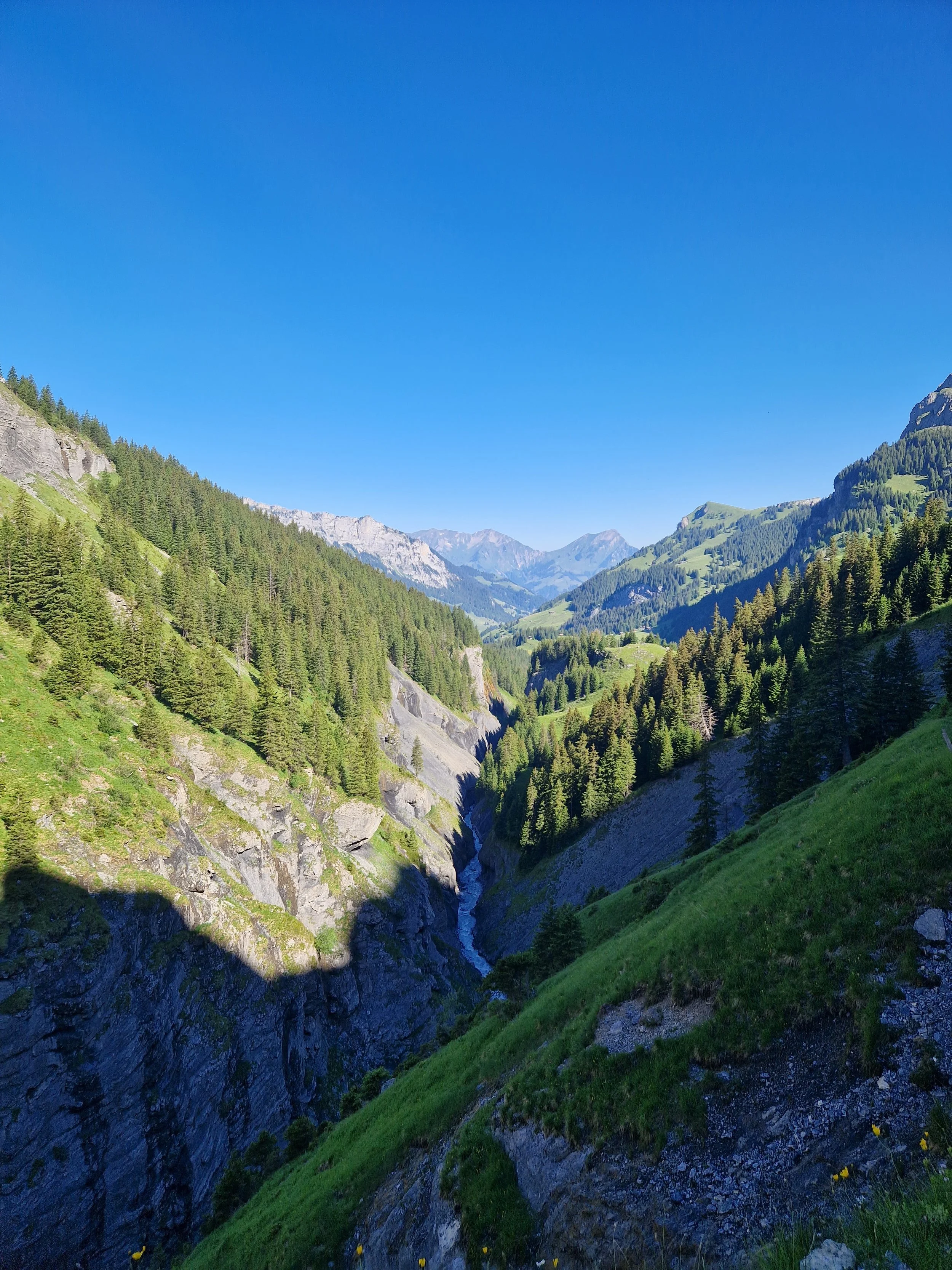 Berglandschaft mit Tal, Fluss, dichte Wälder, Berge im Hintergrund, blauer Himmel