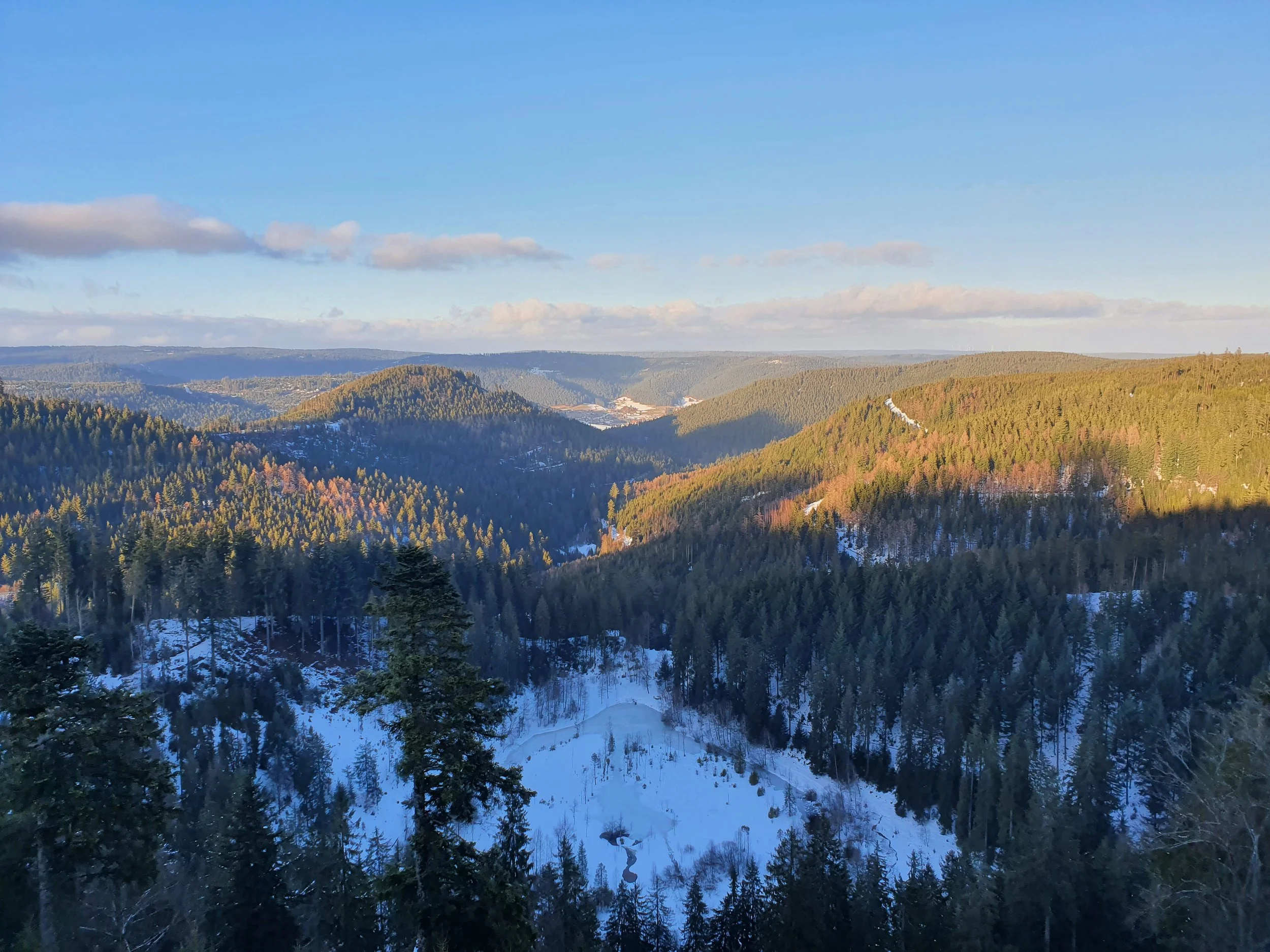 Naturcoaching im Schwarzwald