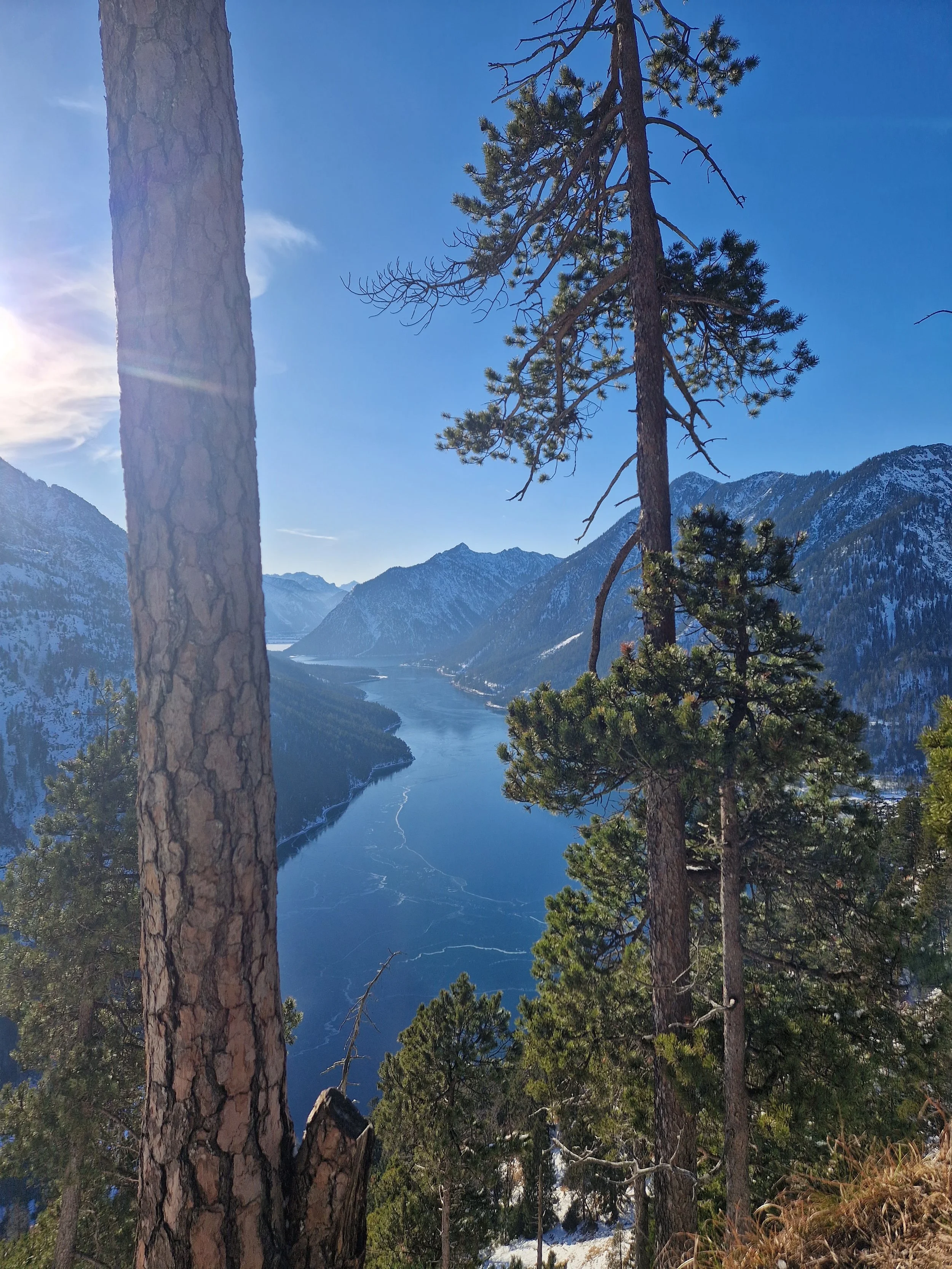 Bergsee in den Bergen, im Vordergrund Nadelbäume, im Hintergrund schneebedeckte Berge bei klarem Himmel.