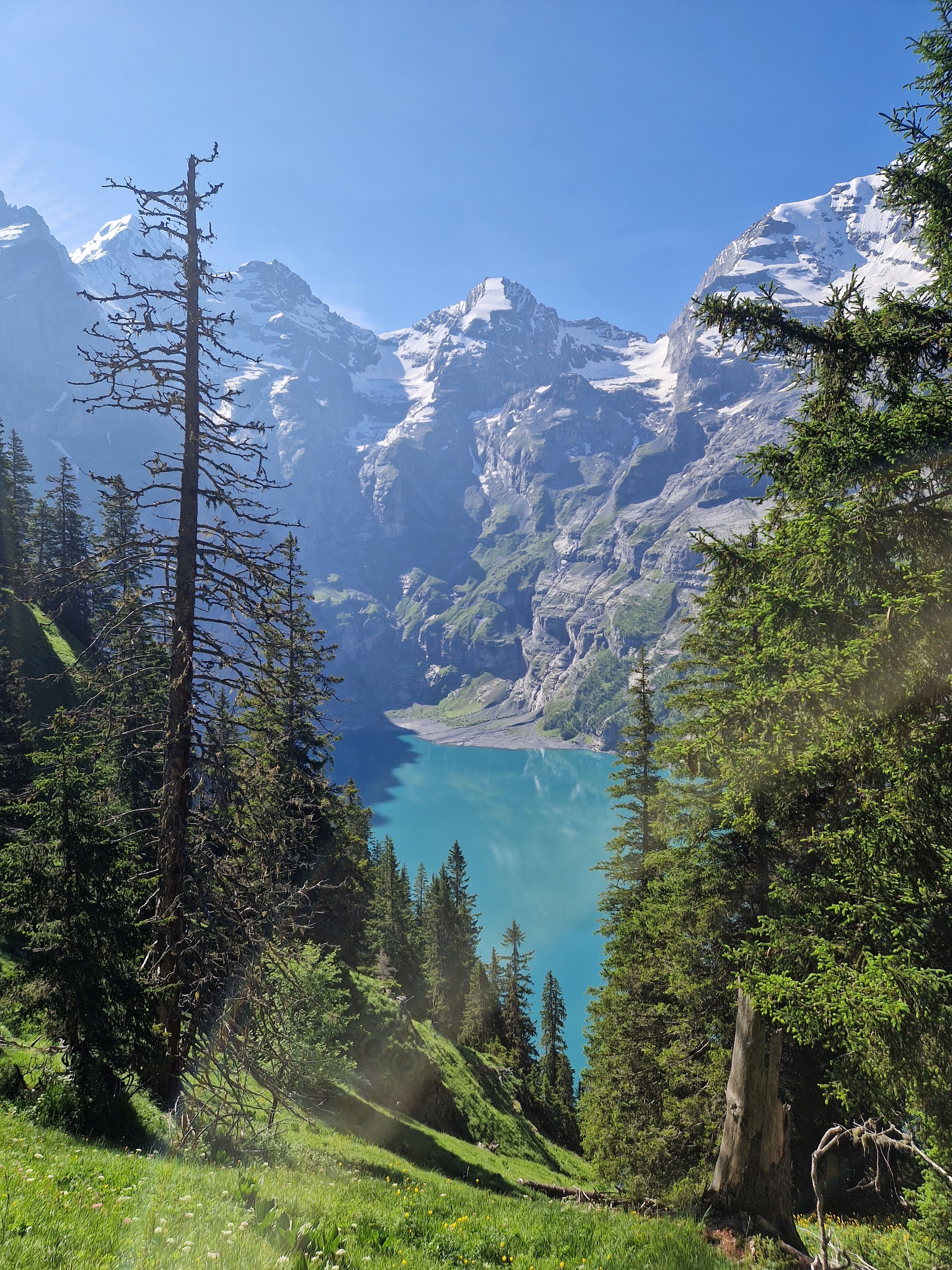 Naturcoaching in den Bergen