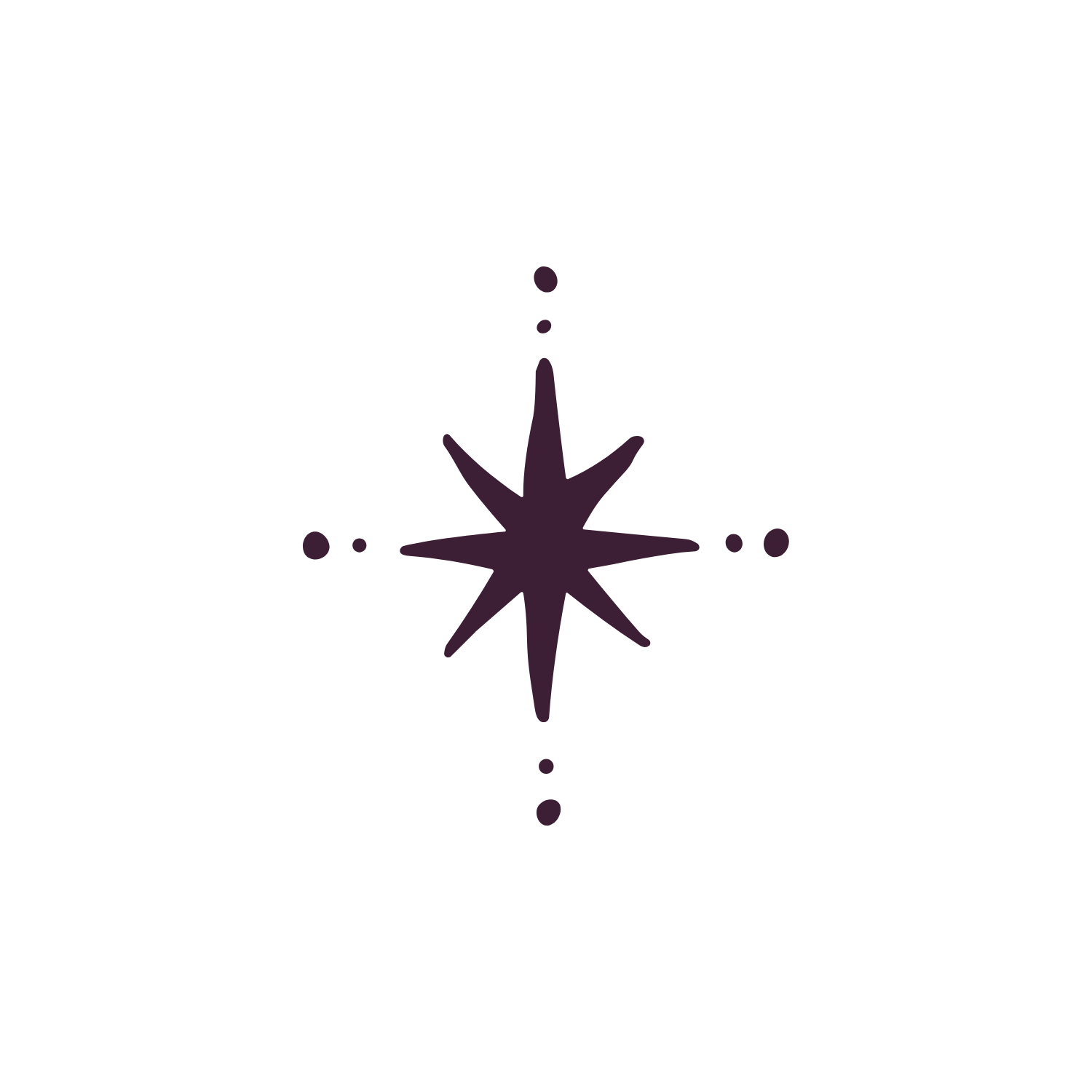 Hand-drawn dark plum eight-point star icon, a decorative element symbolising the guiding light of the mystic path