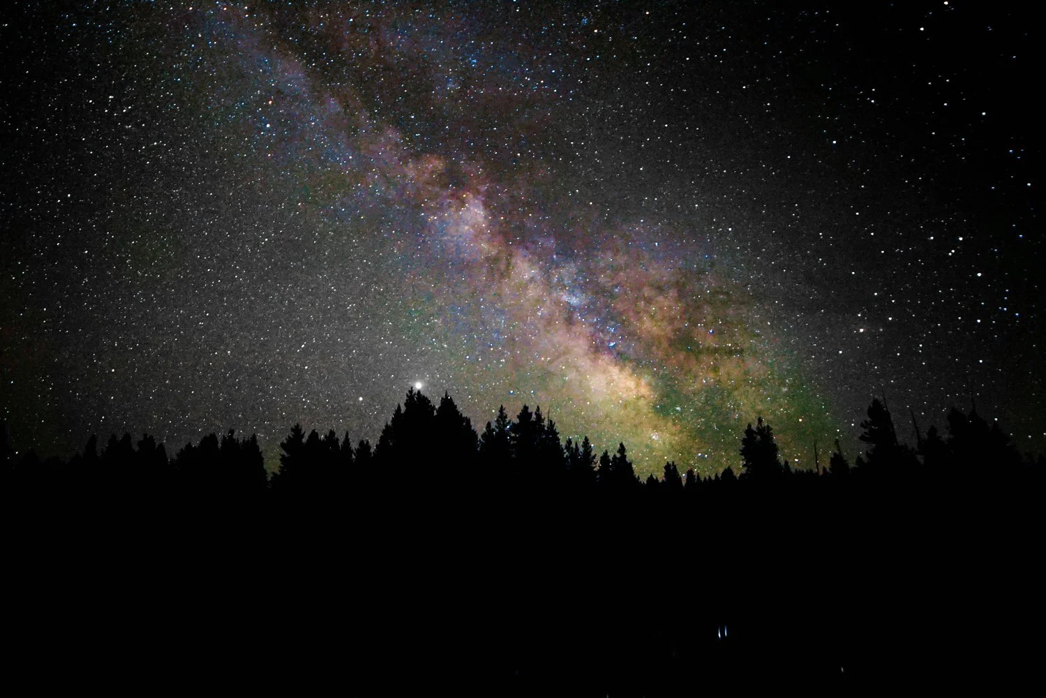 Milky Way core rising above a silhouetted forest treeline, inviting cosmic wonder and contemplative awe