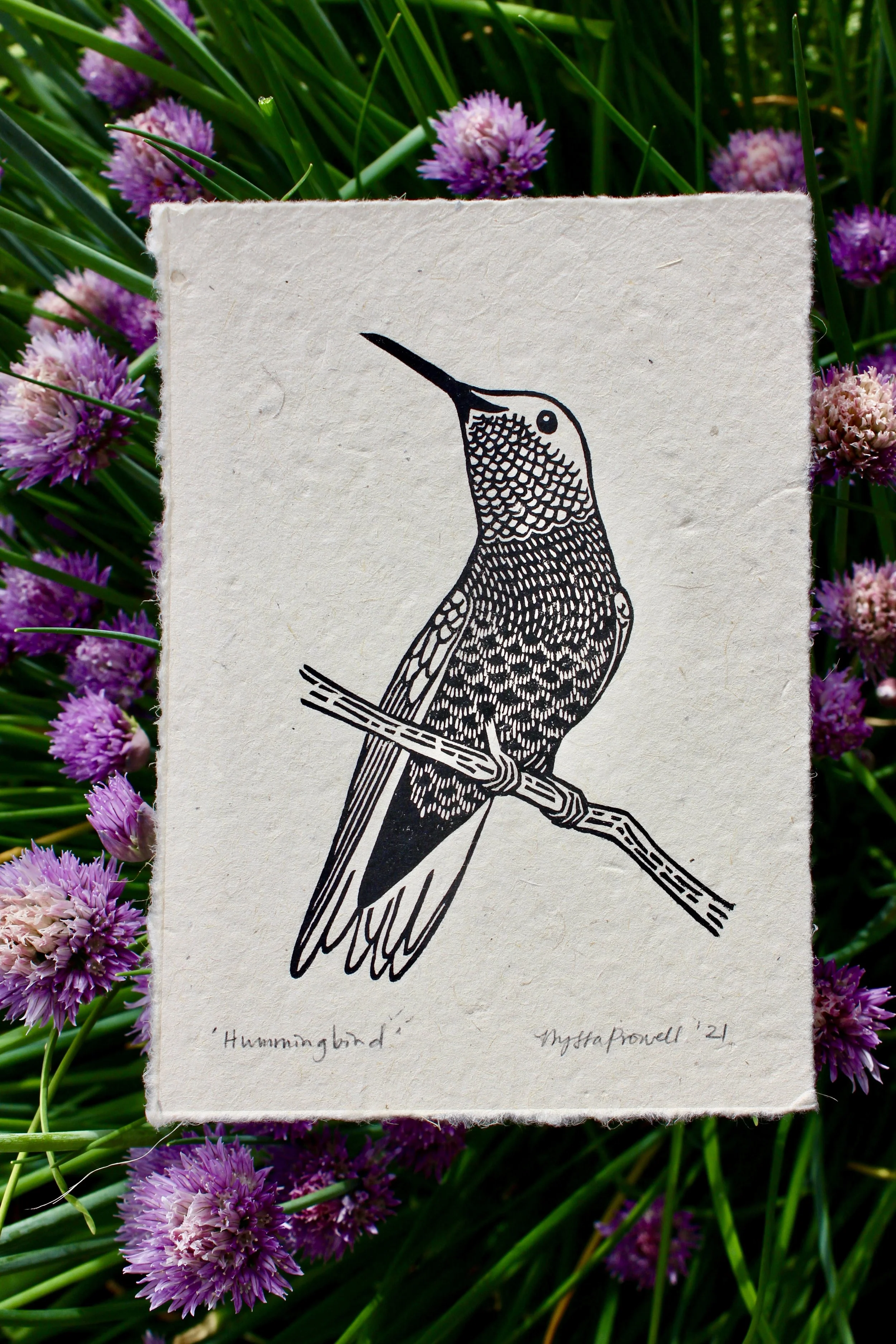 Anna's Hummer_copyright.jpg