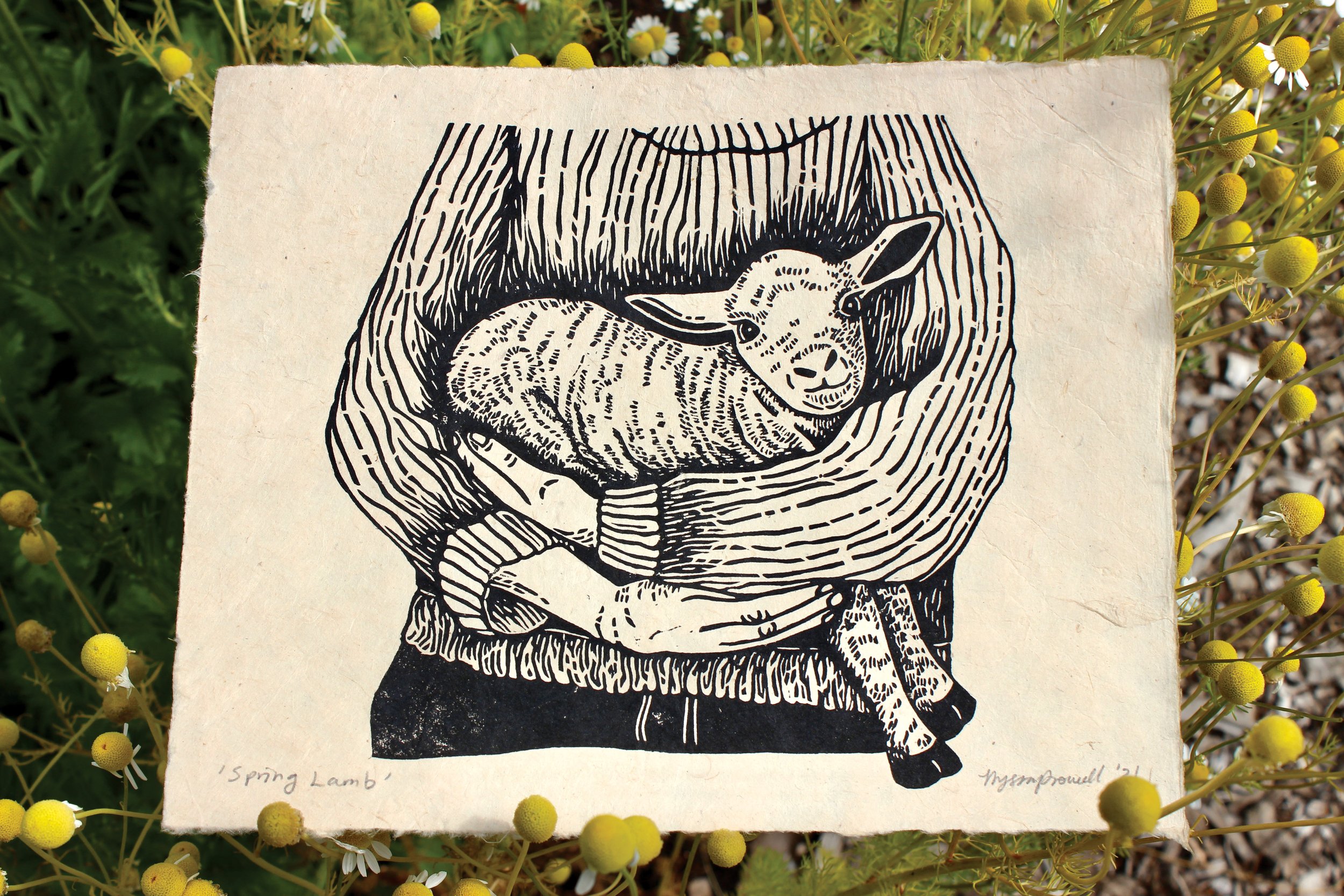 Lamb_copyright.jpg