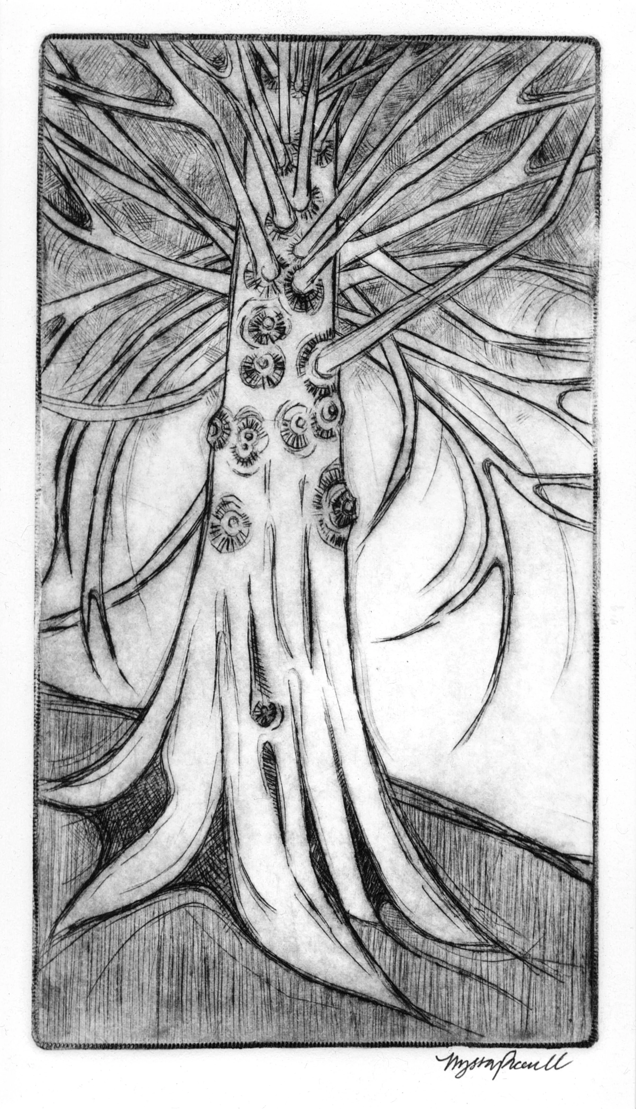 Sitka Spruce_Final.jpg