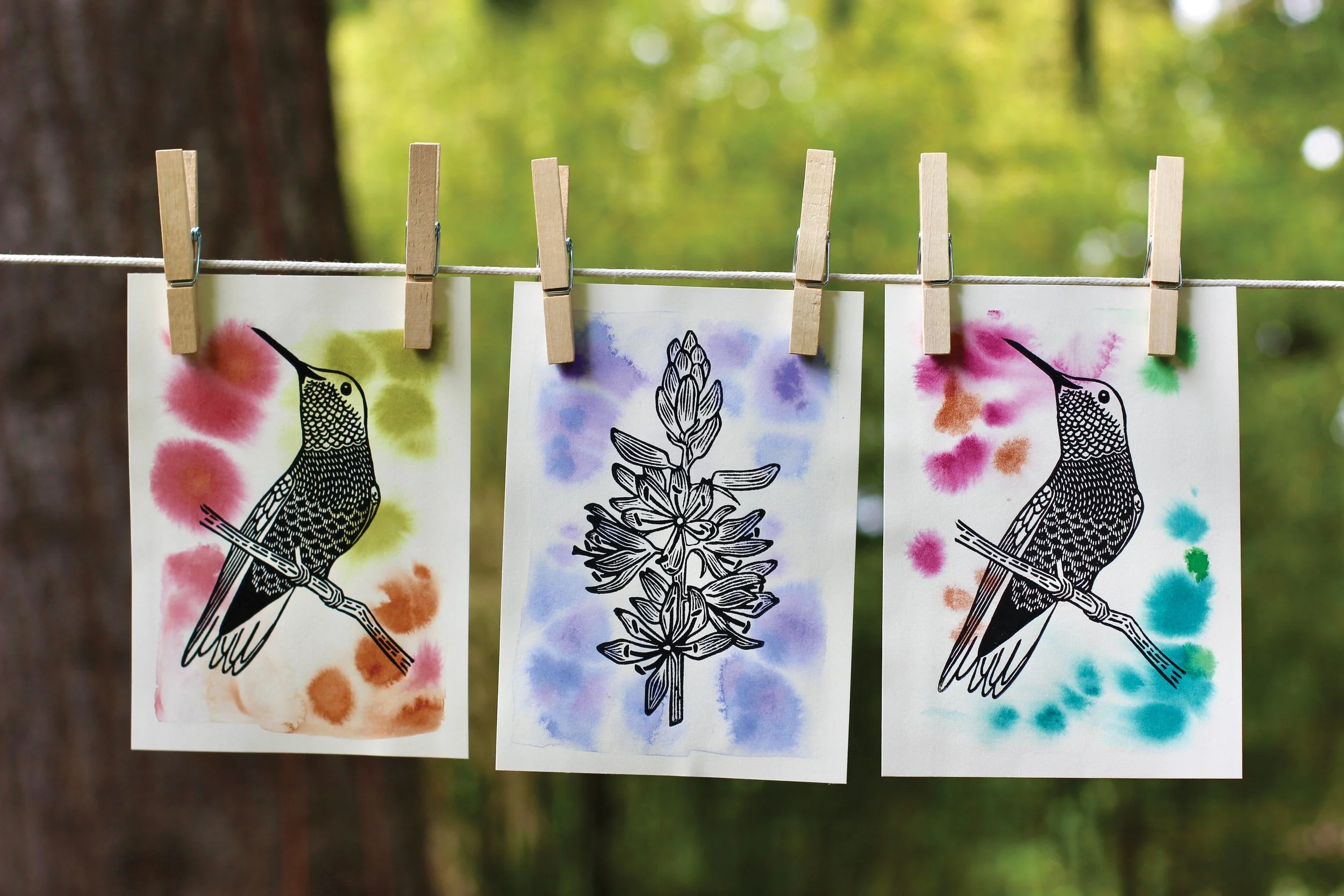 Anna's closeline_copyright.jpg